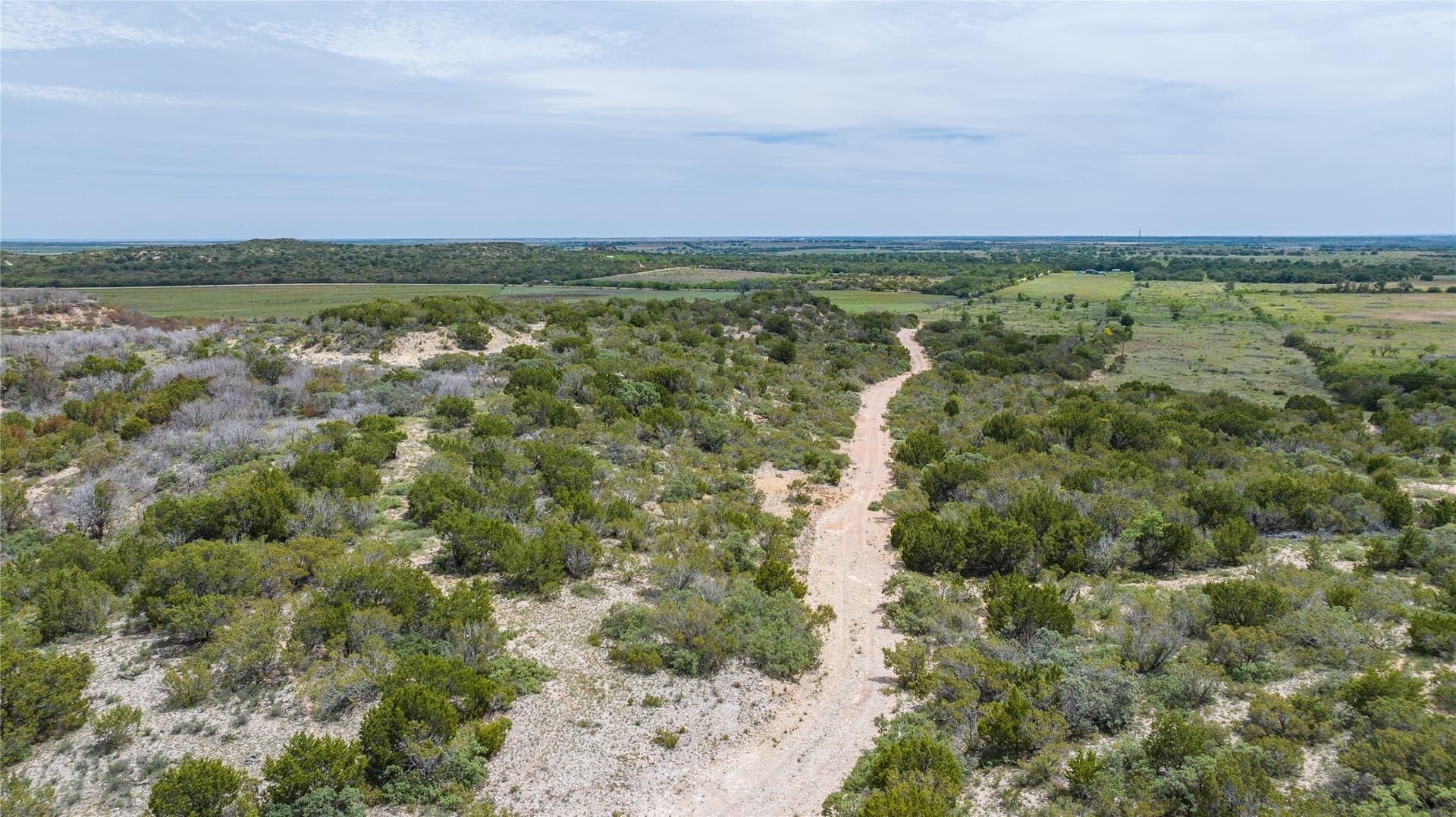 201.01 acres in Taylor County - photo 10