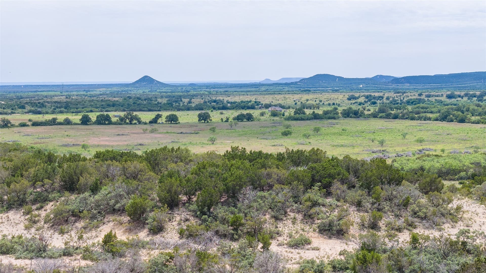 201.01 acres in Taylor County