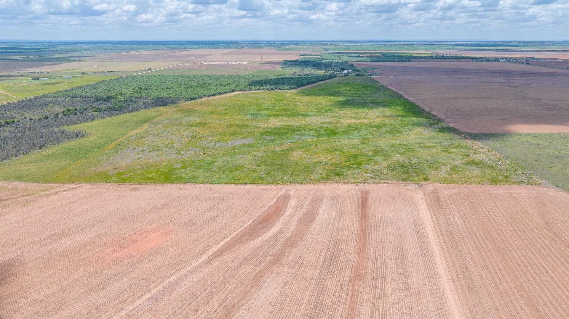158.66 acres in Jones County - photo 7