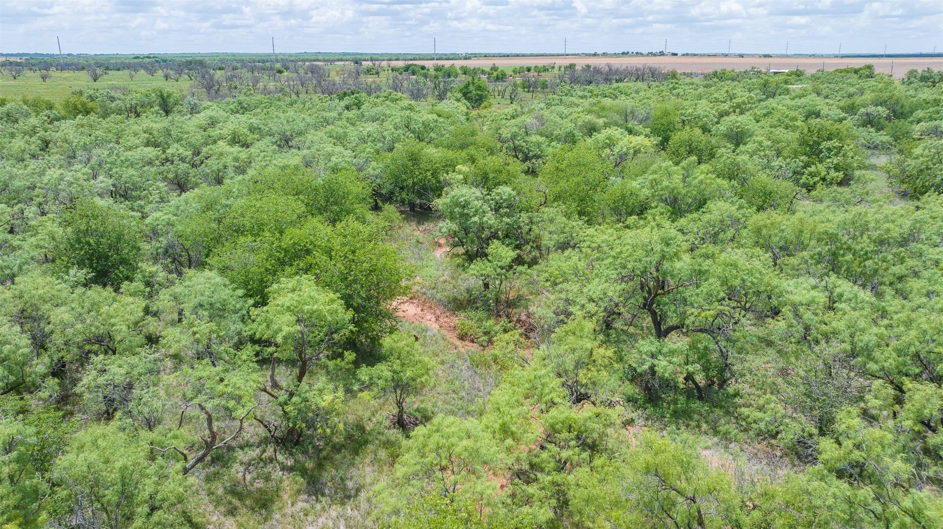 158.66 acres in Jones County - photo 20