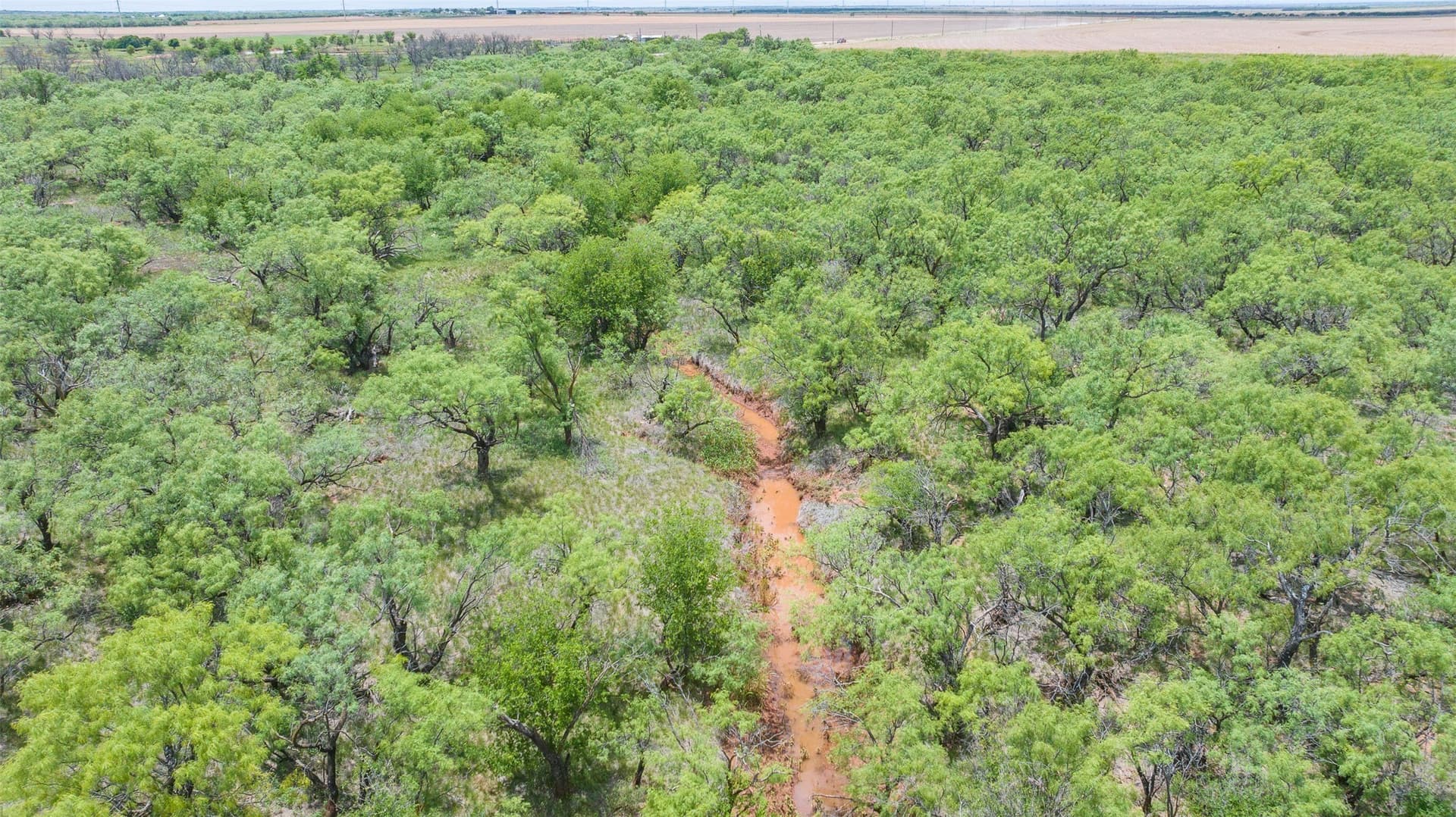 158.66 acres in Jones County - photo 19
