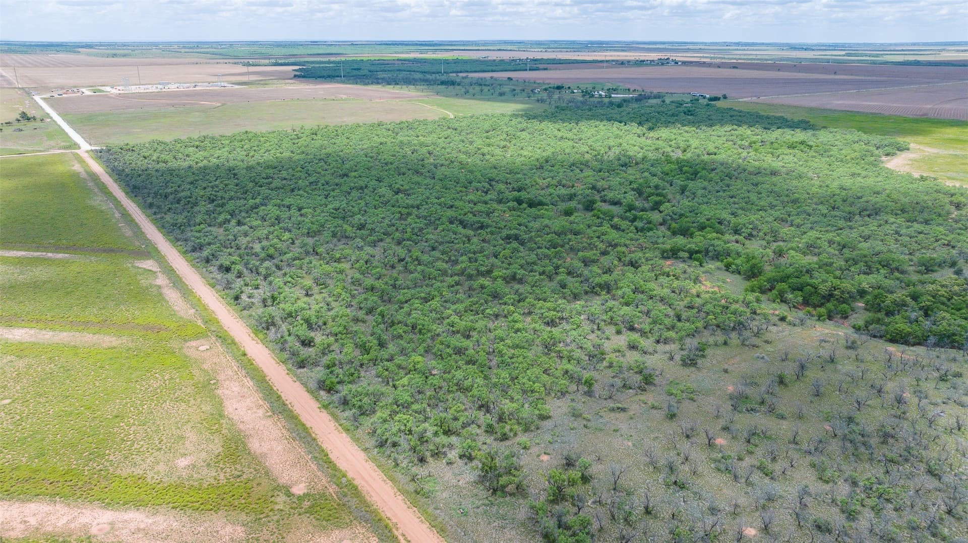158.66 acres in Jones County - photo 6