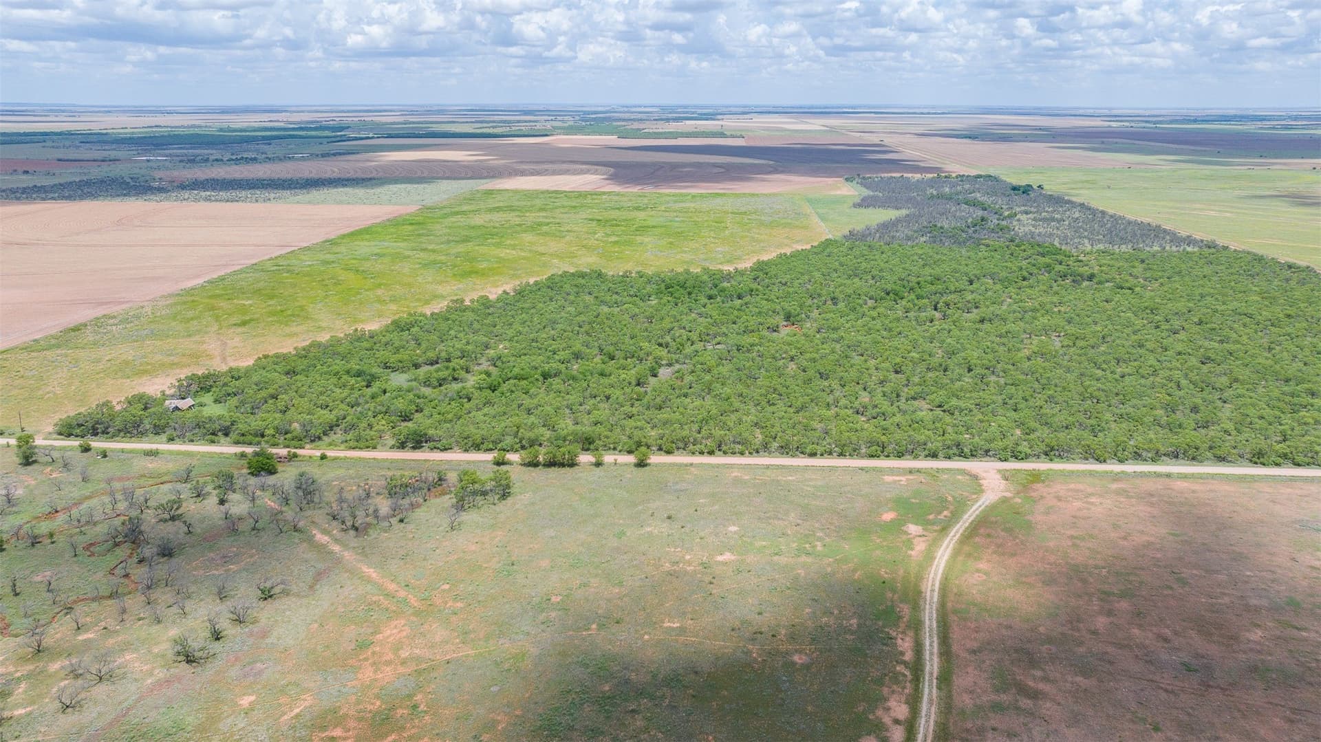 158.66 acres in Jones County gallery image 4