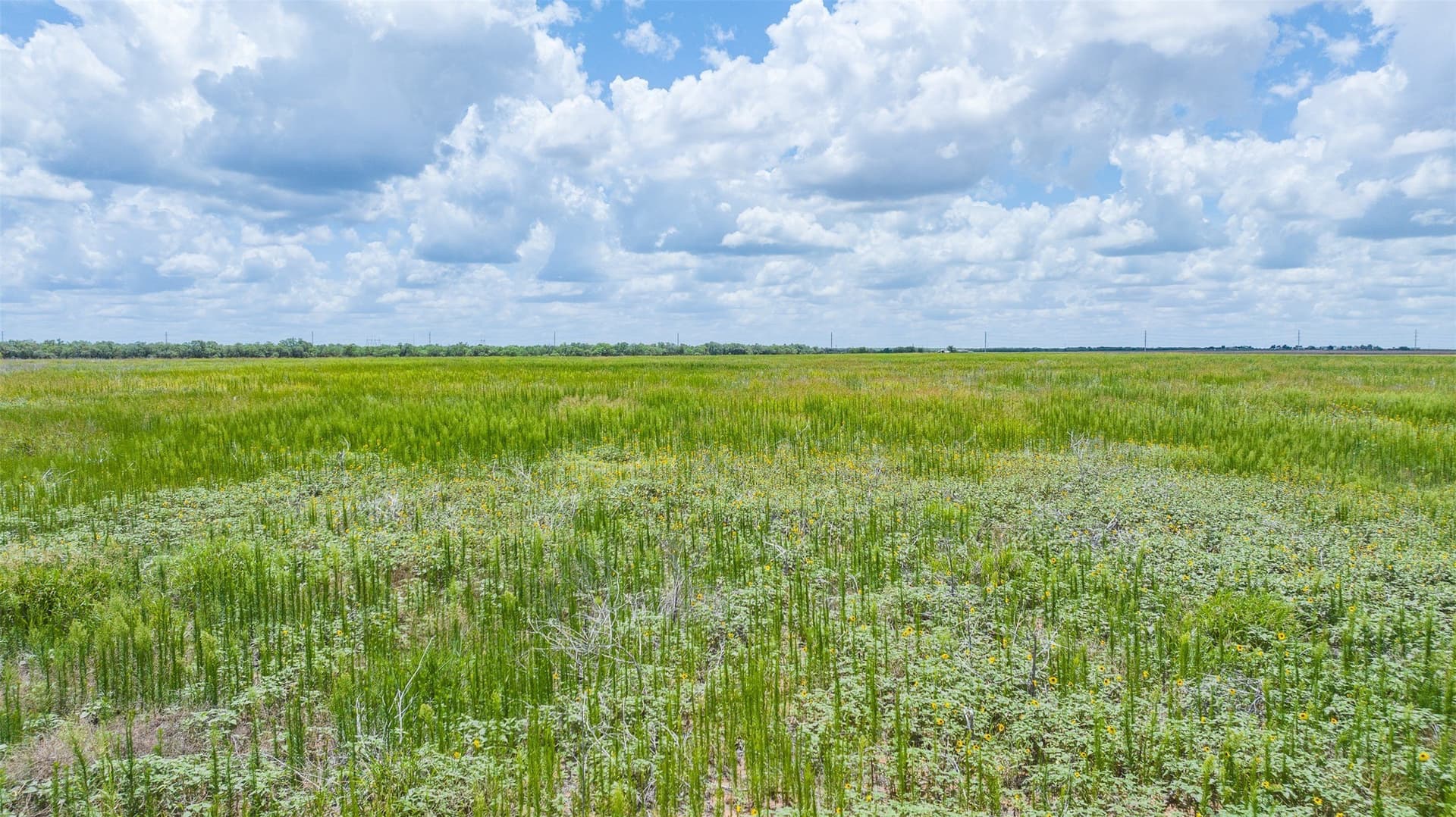 158.66 acres in Jones County - photo 9