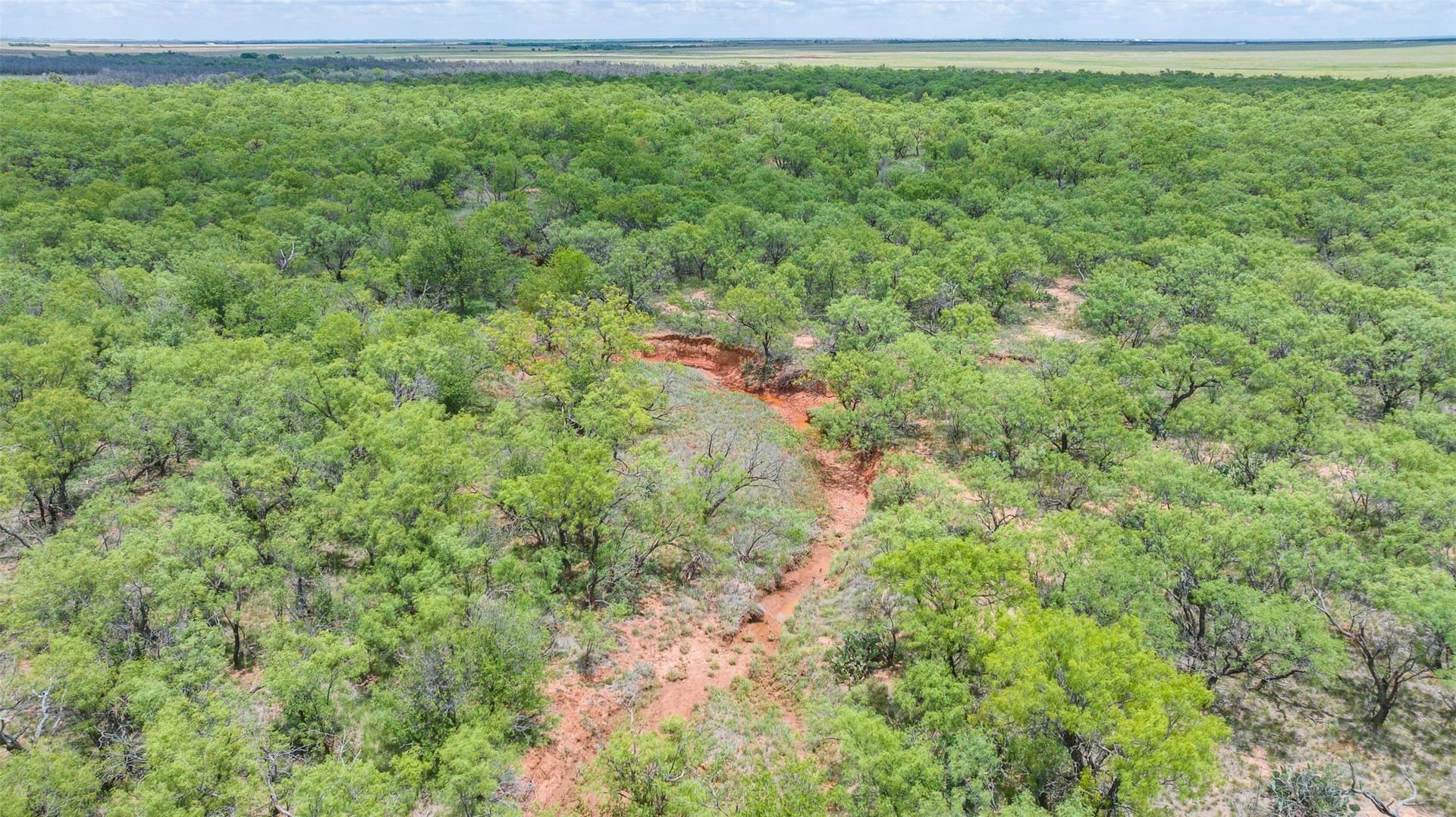 158.66 acres in Jones County - photo 13