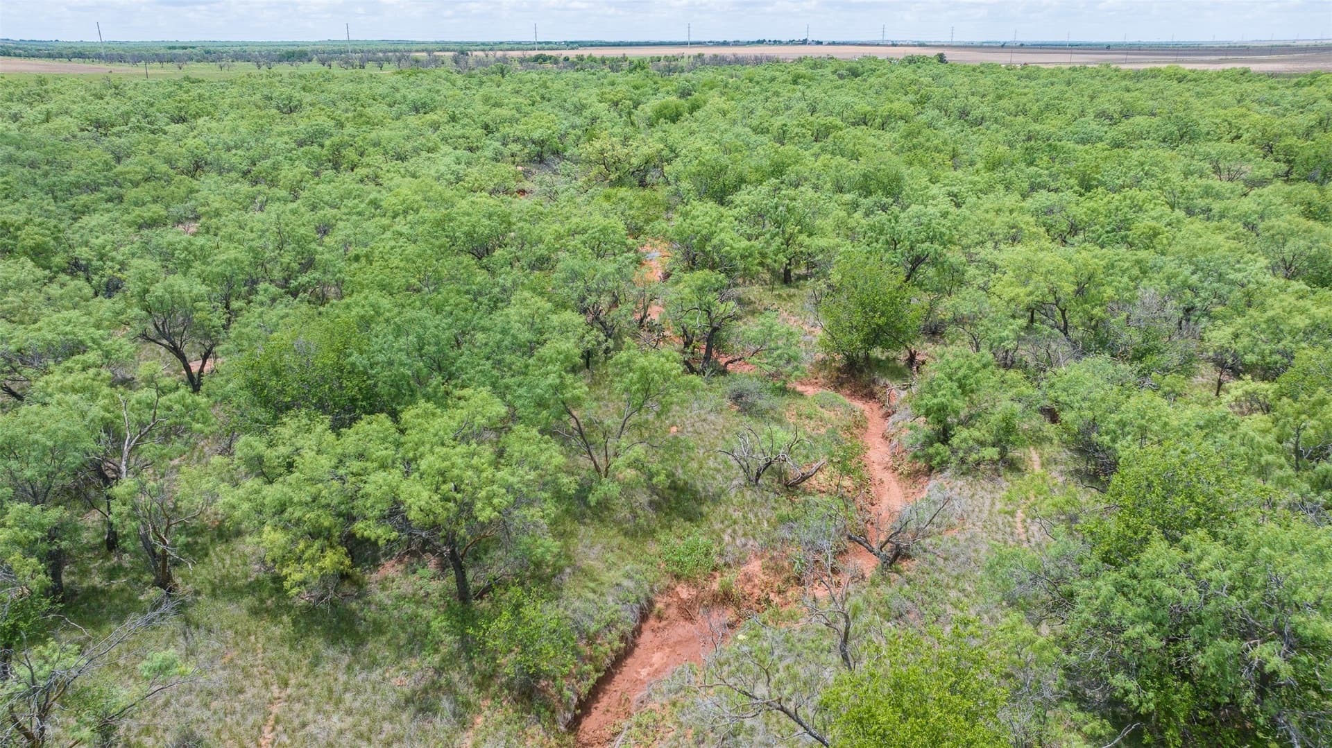 158.66 acres in Jones County - photo 12