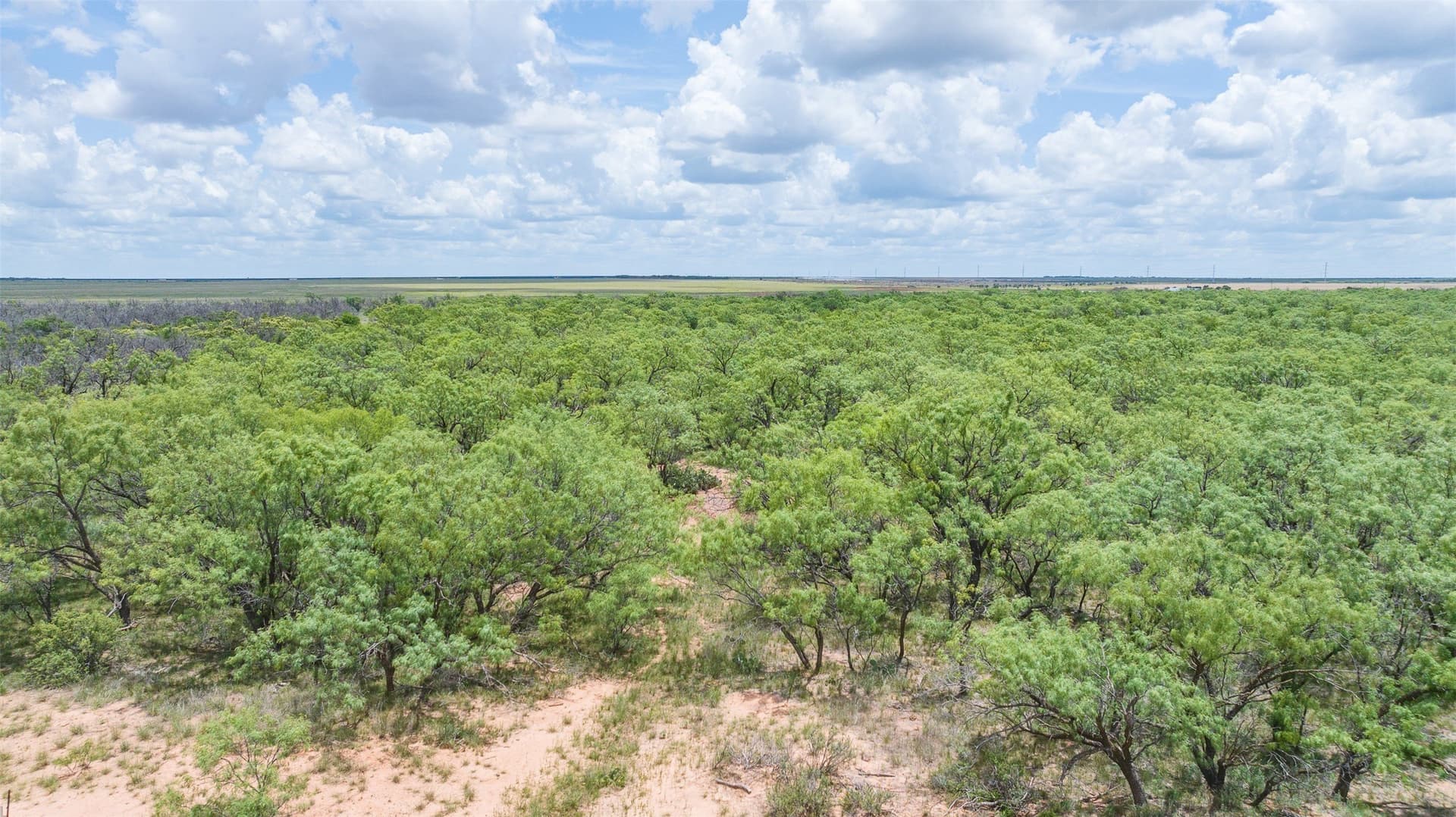 158.66 acres in Jones County - photo 11