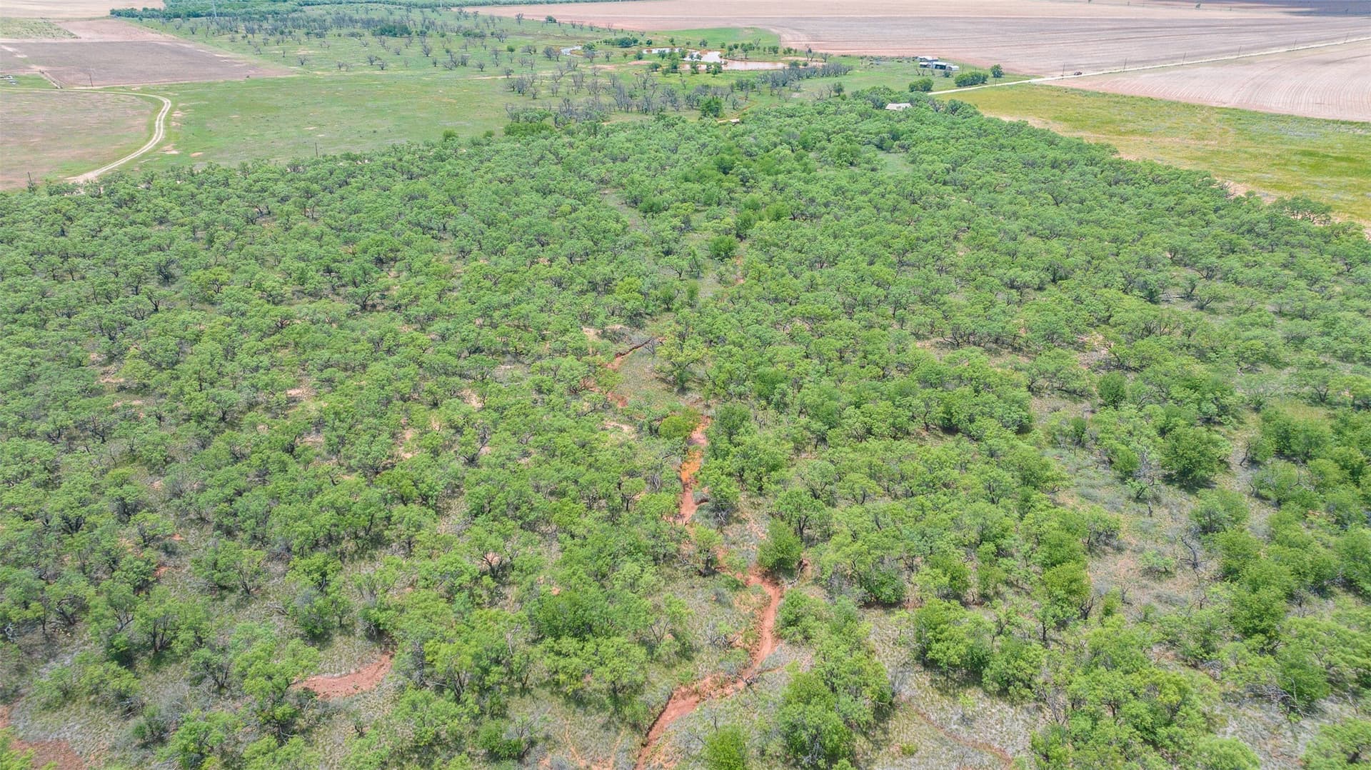 158.66 acres in Jones County - photo 17