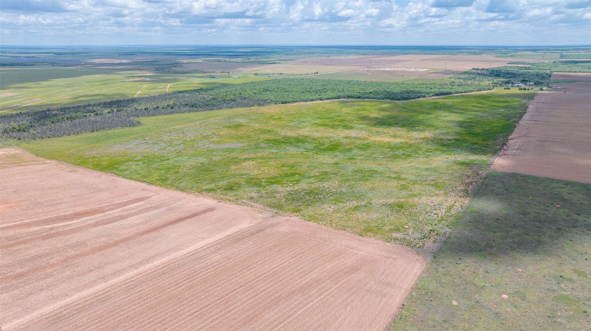 158.66 acres in Jones County - photo 8