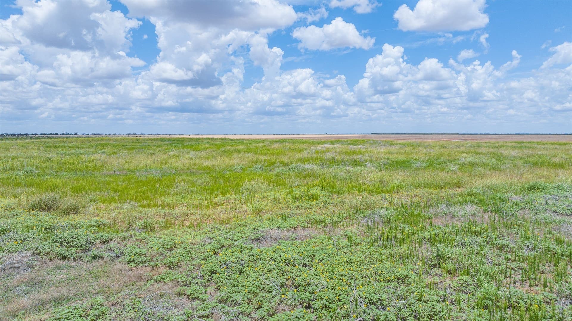 158.66 acres in Jones County - photo 10