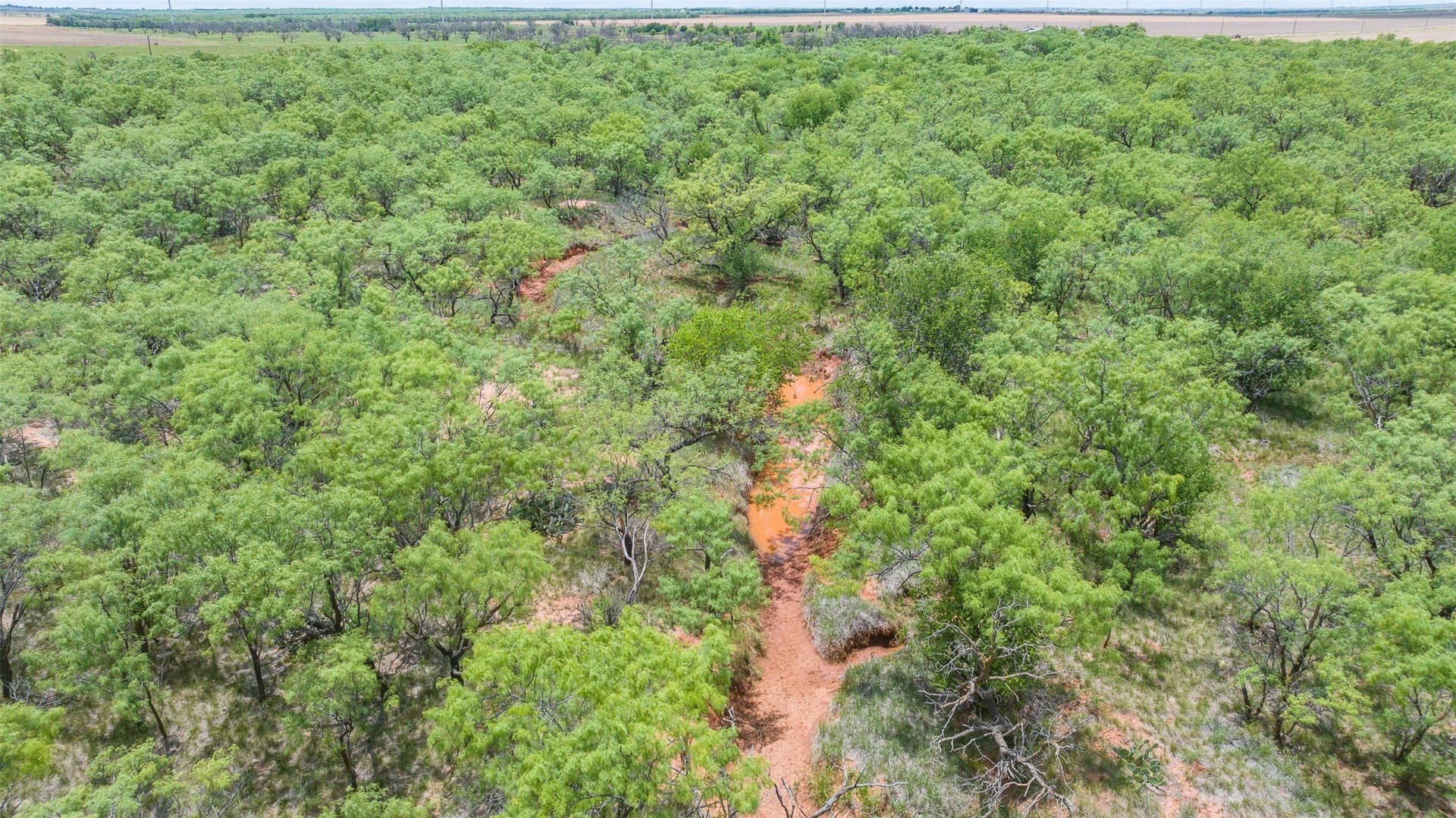 158.66 acres in Jones County - photo 16