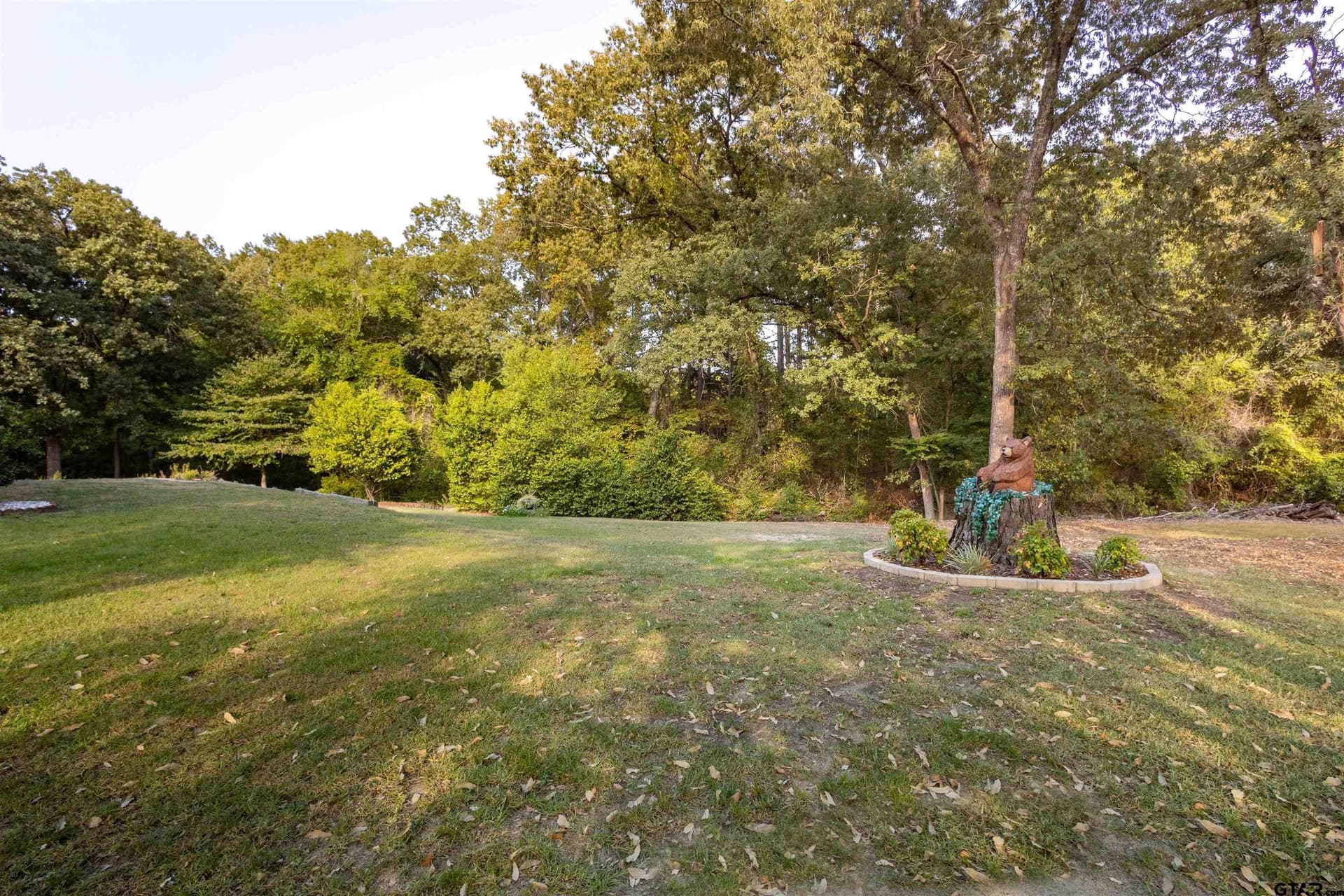 13.42 acres in Wood County - photo 7