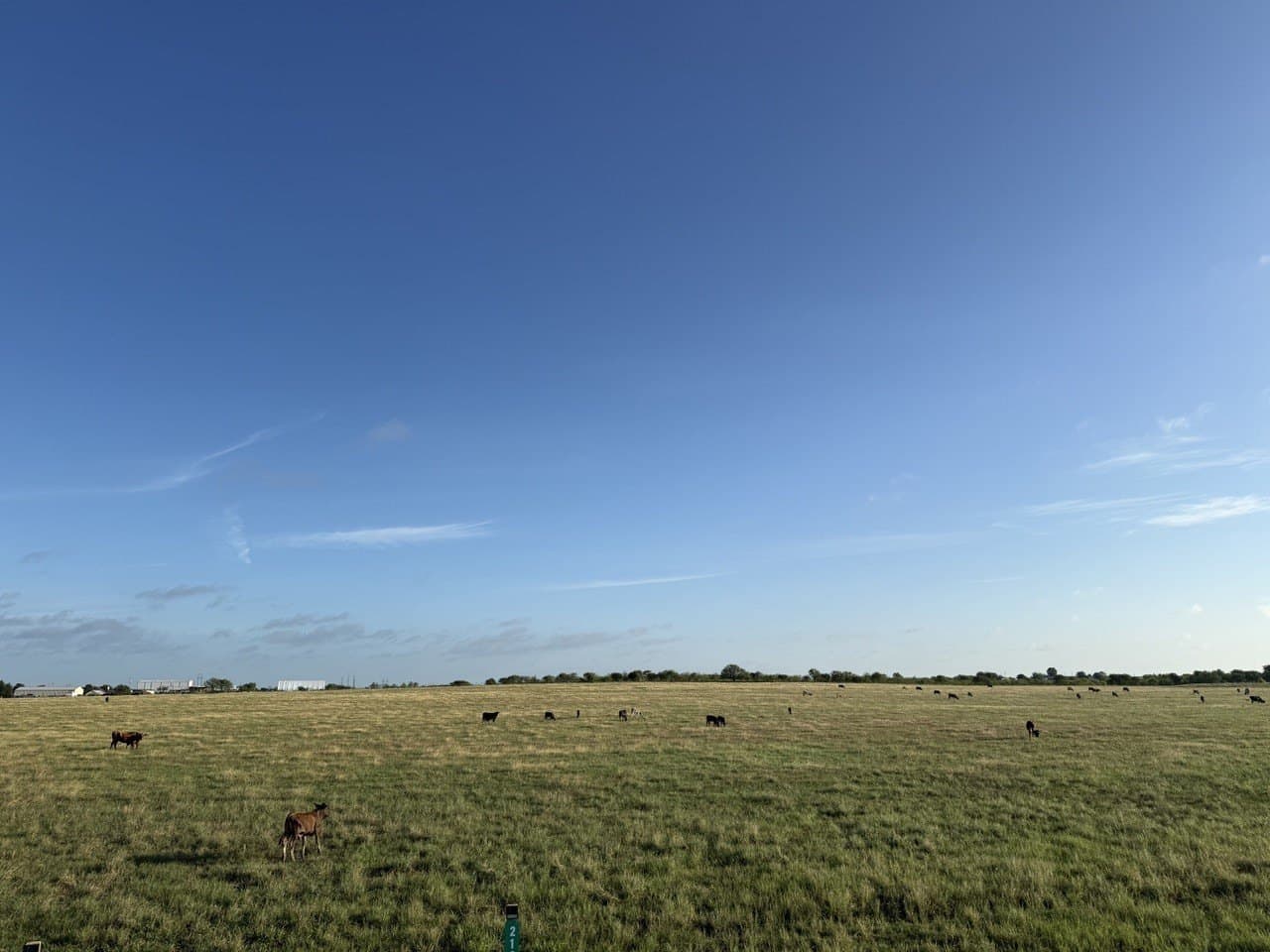 11.1 acres in Johnson County - photo 5