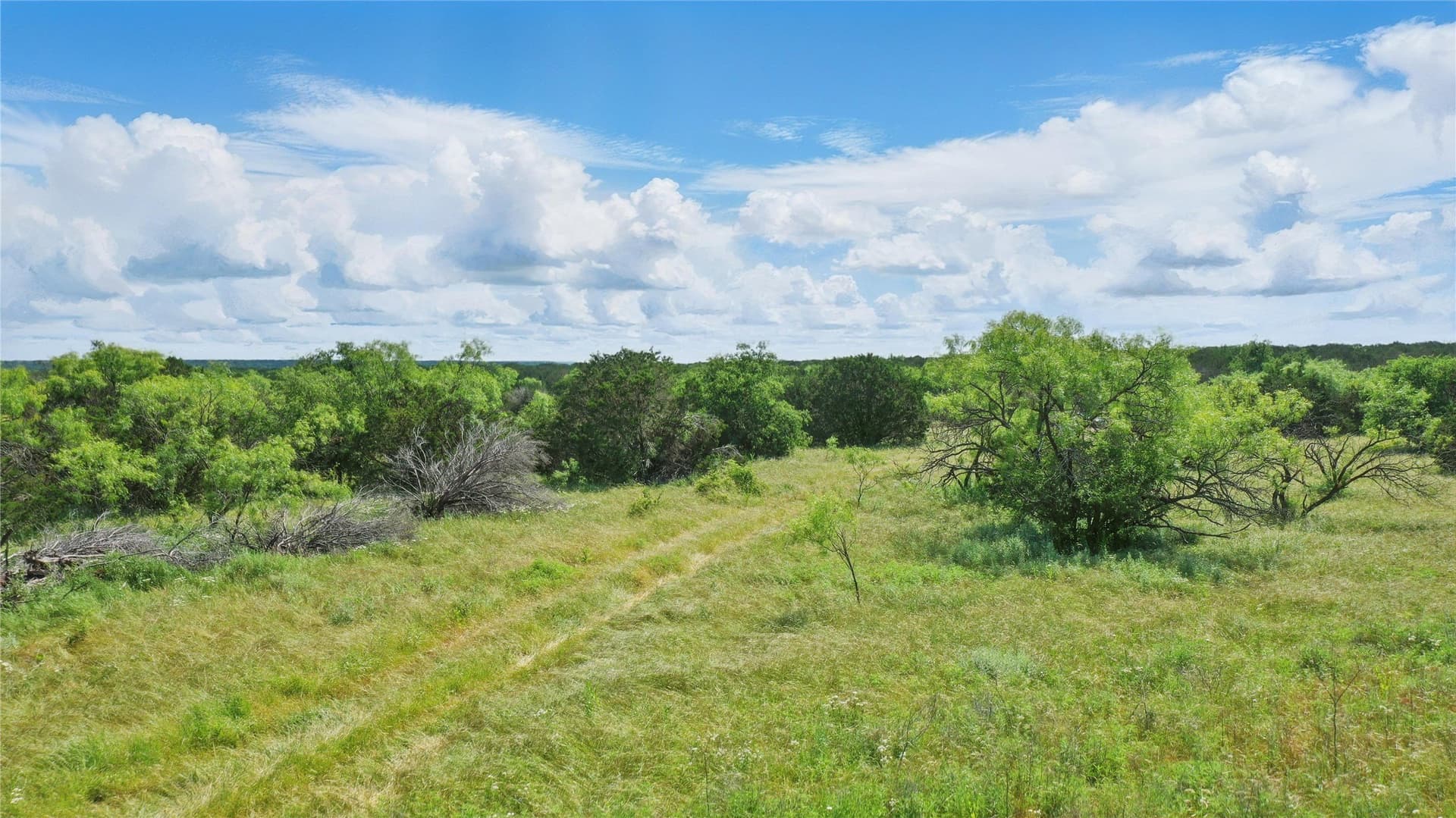 26 acres in Palo Pinto County gallery image 2