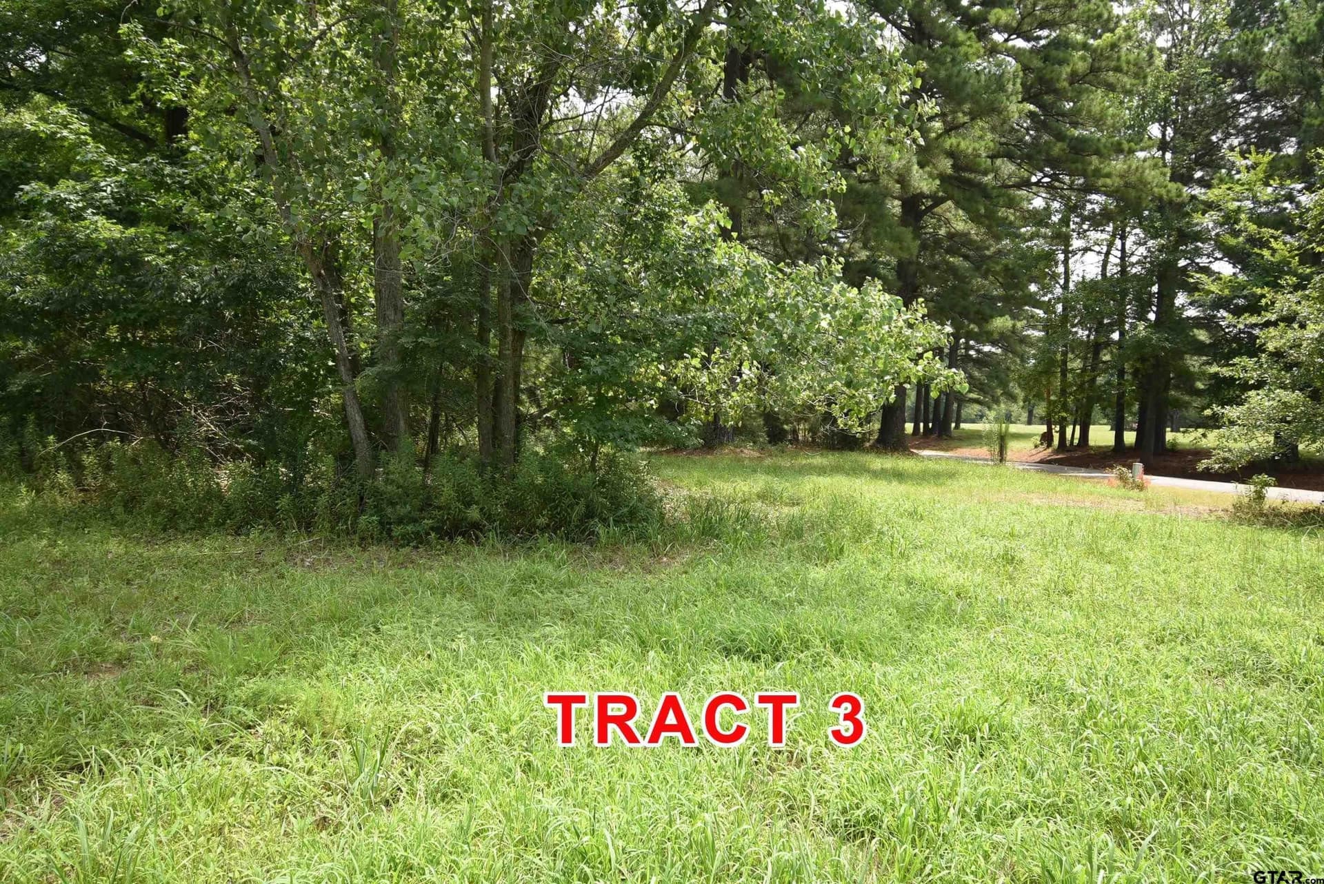 3 acres in Red River County - photo 4