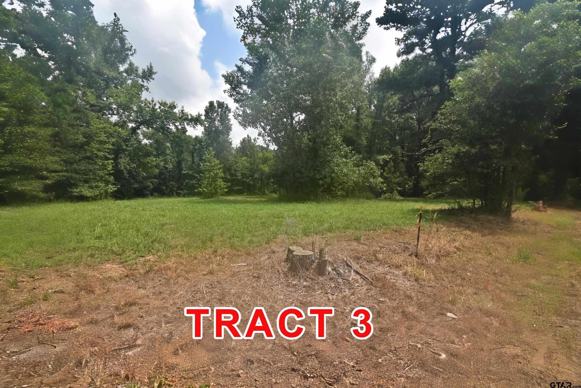 3 acres in Red River County - photo 6