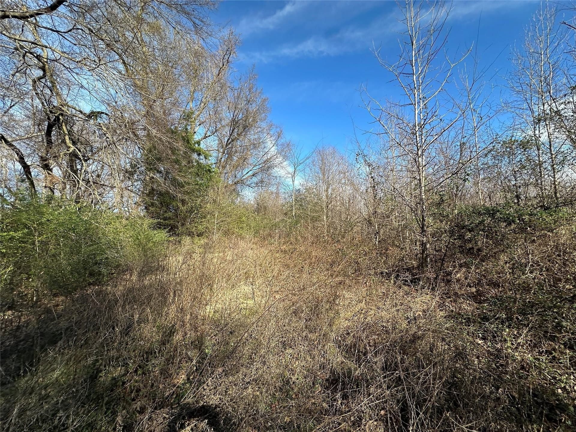 20 acres in Hopkins County - photo 17