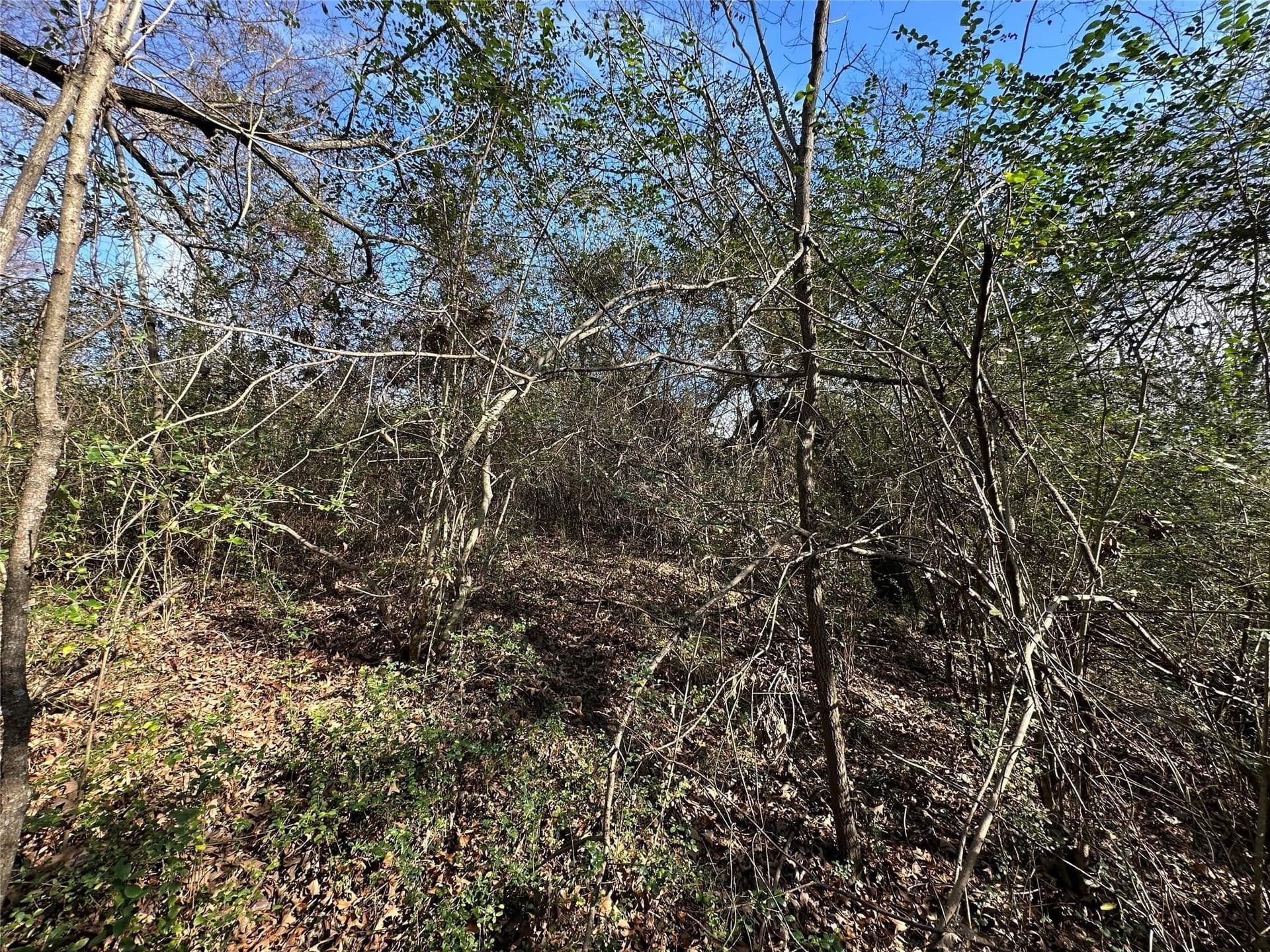 20 acres in Hopkins County - photo 13