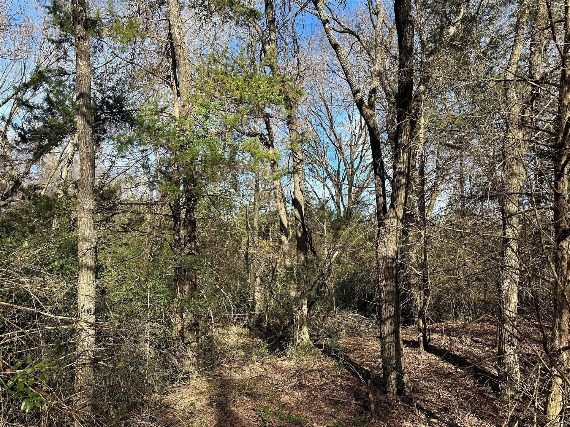 20 acres in Hopkins County - photo 9