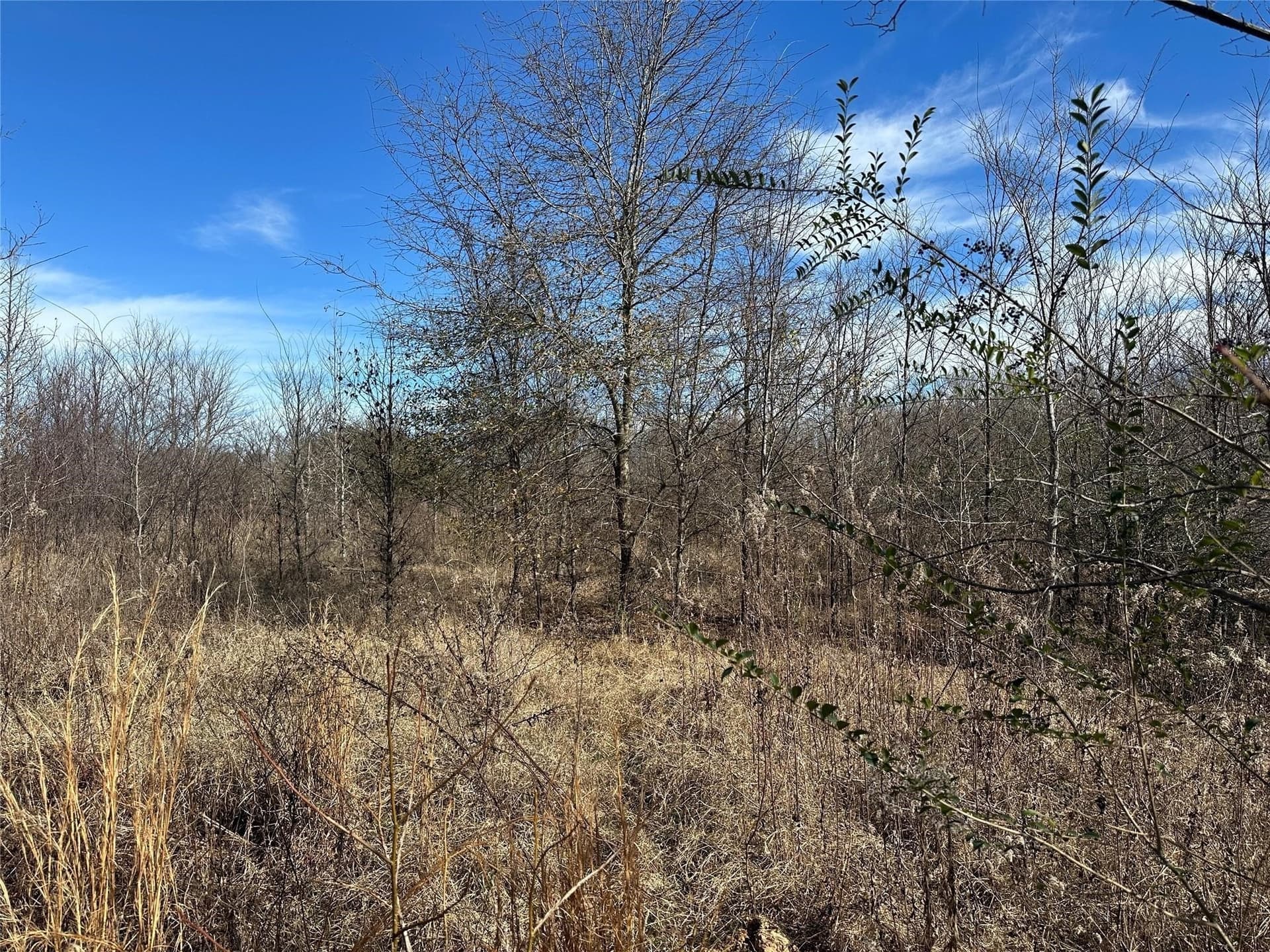 20 acres in Hopkins County - photo 20