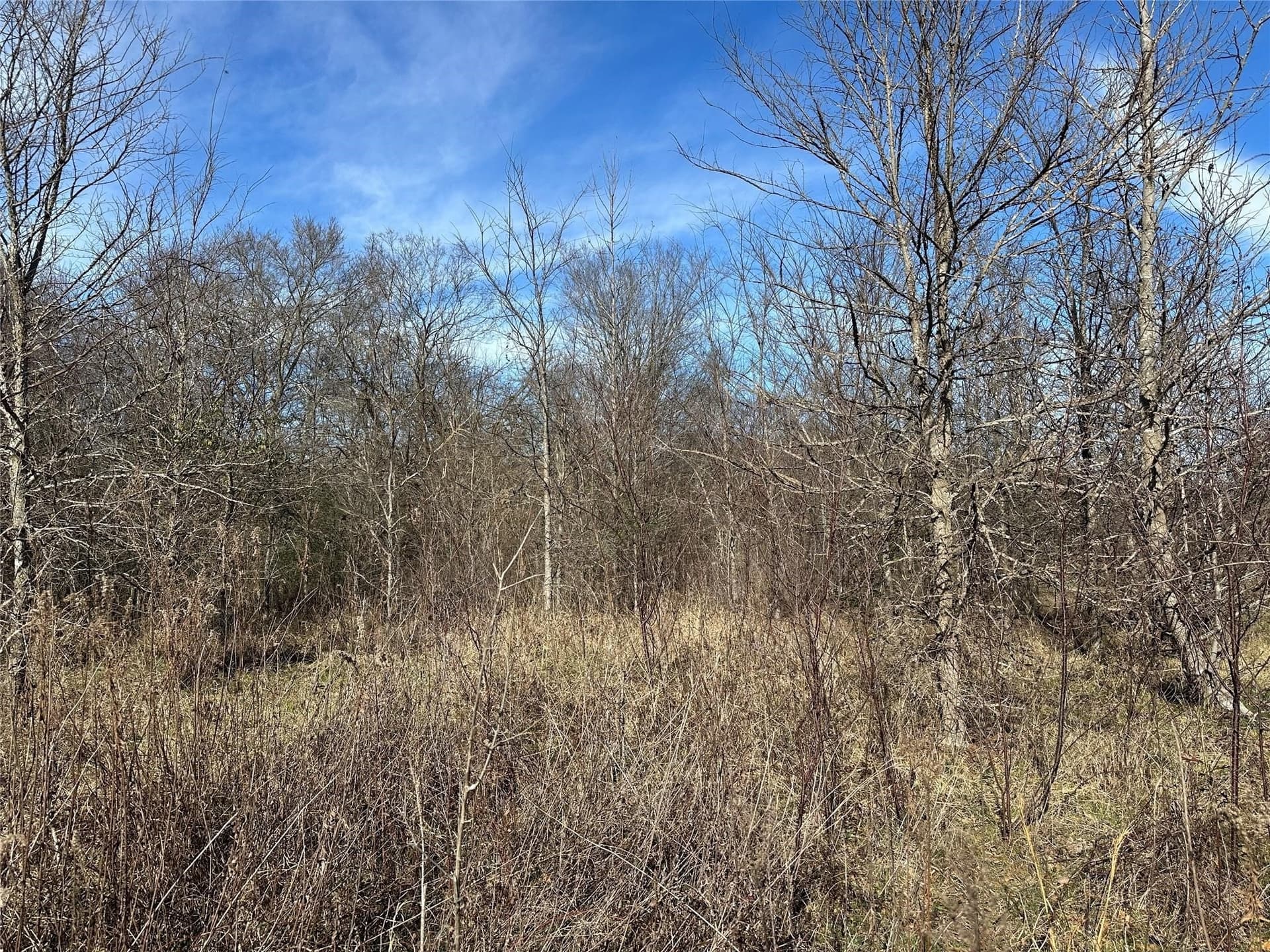 20 acres in Hopkins County - photo 22