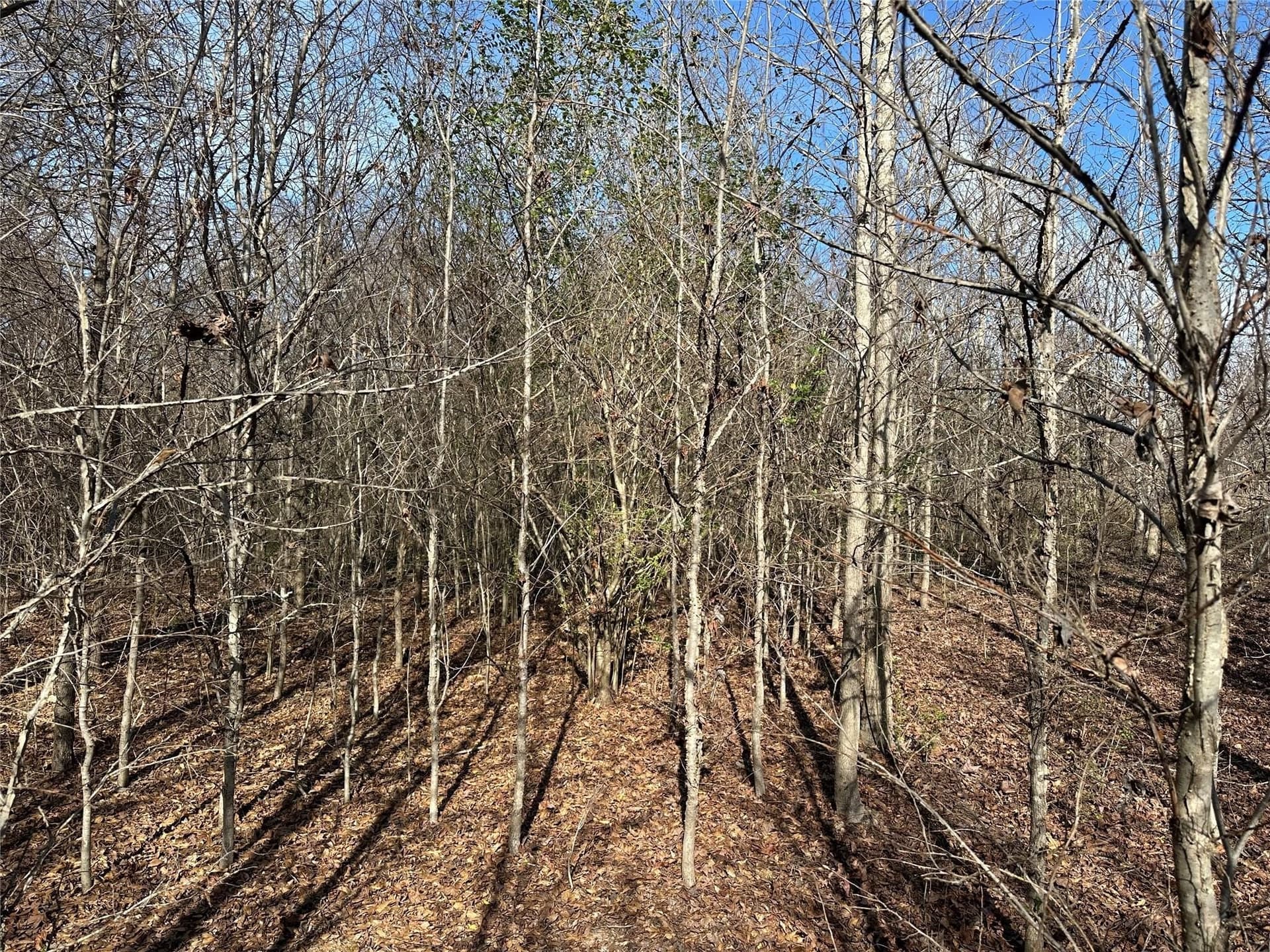 20 acres in Hopkins County - photo 18