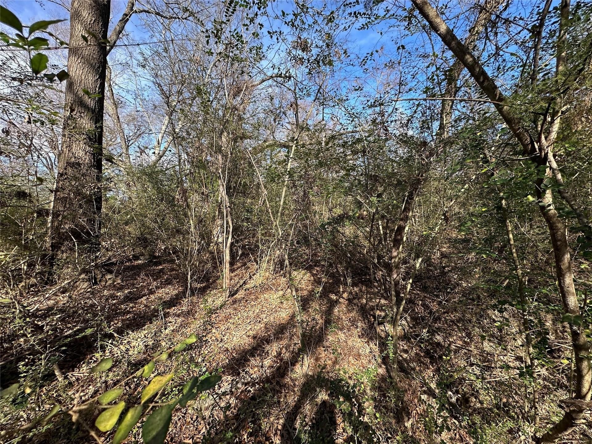 20 acres in Hopkins County - photo 12