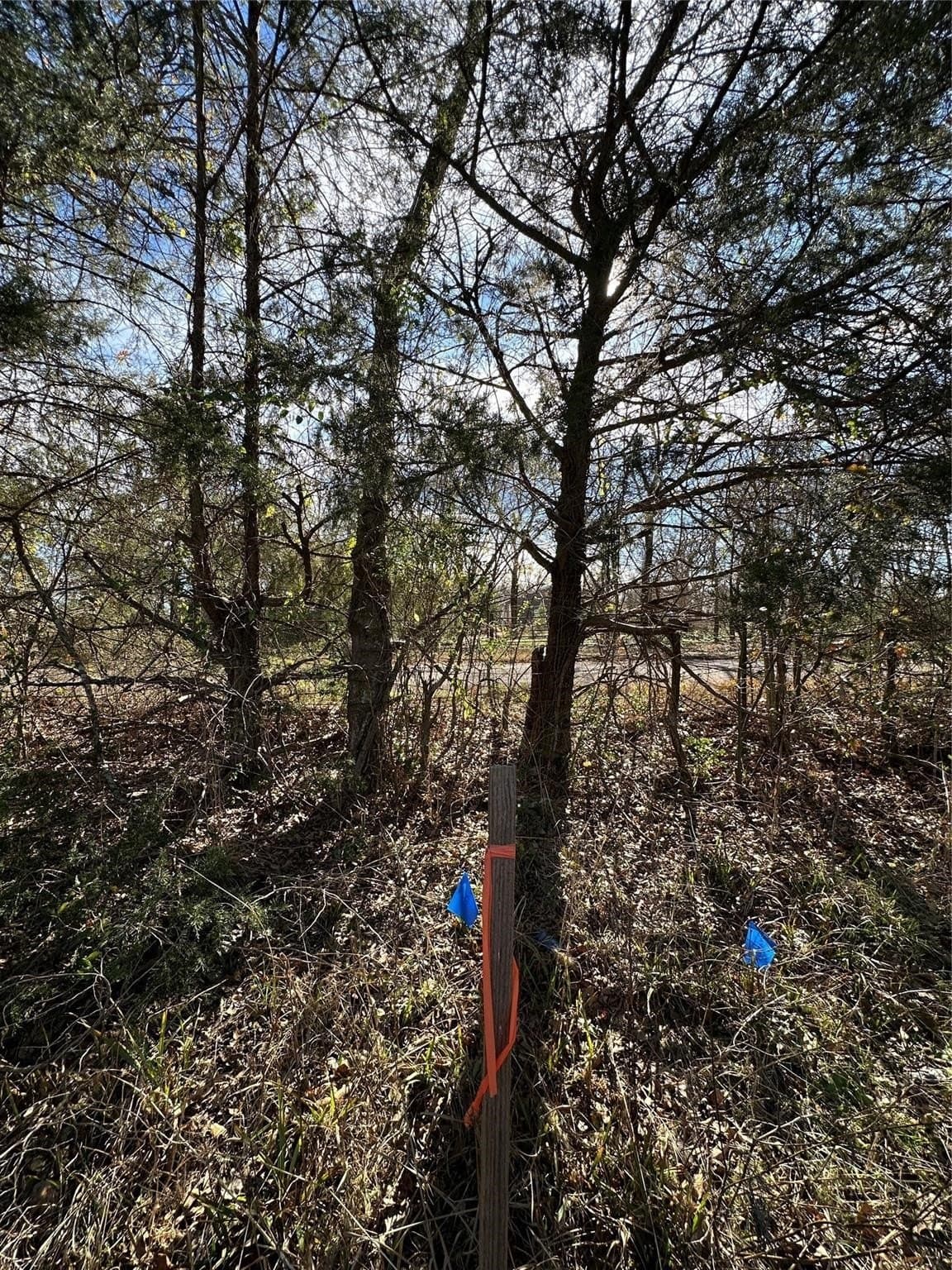 20 acres in Hopkins County - photo 7