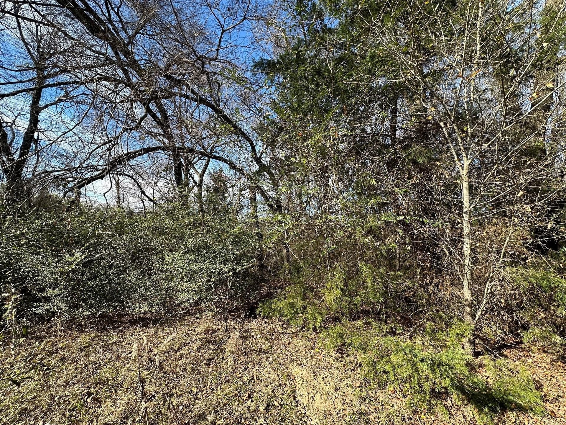 20 acres in Hopkins County - photo 15