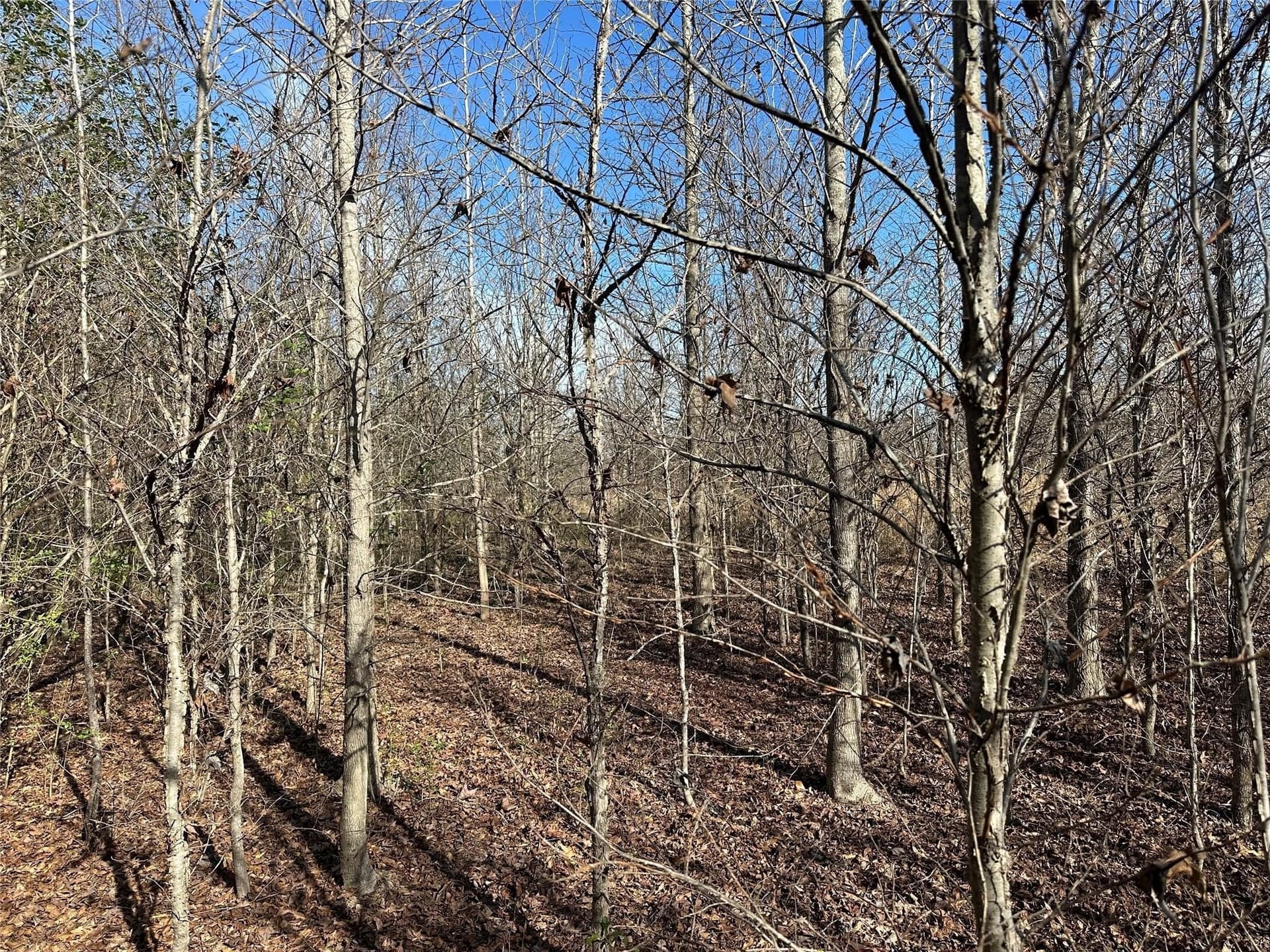 20 acres in Hopkins County - photo 16