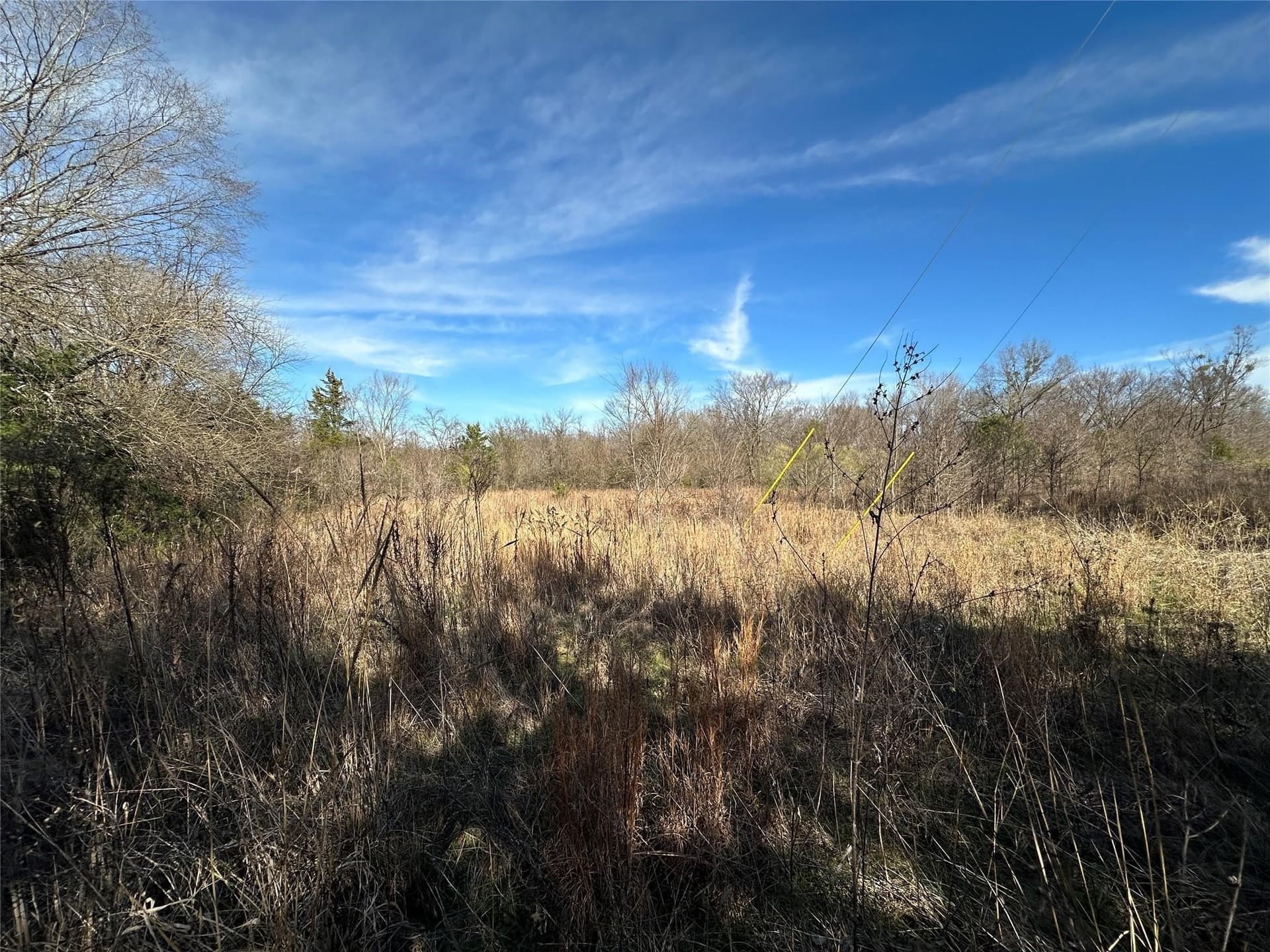 20 acres in Hopkins County gallery image 2