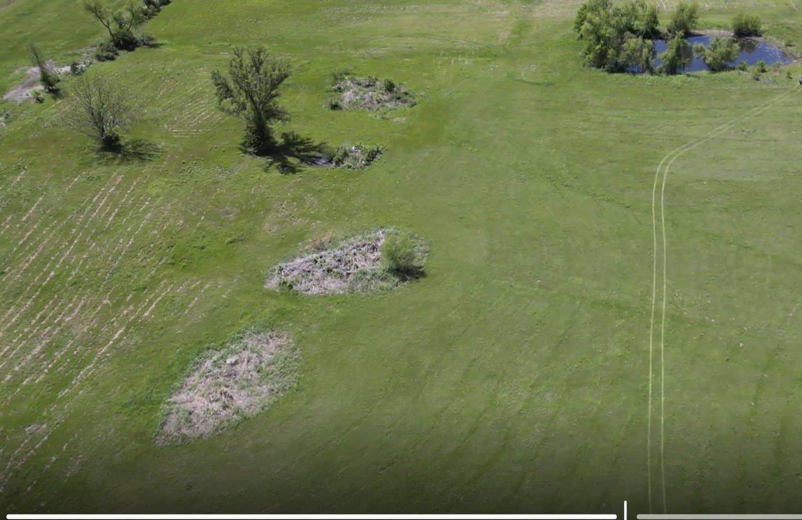 19.32 acres in Lamar County - photo 8