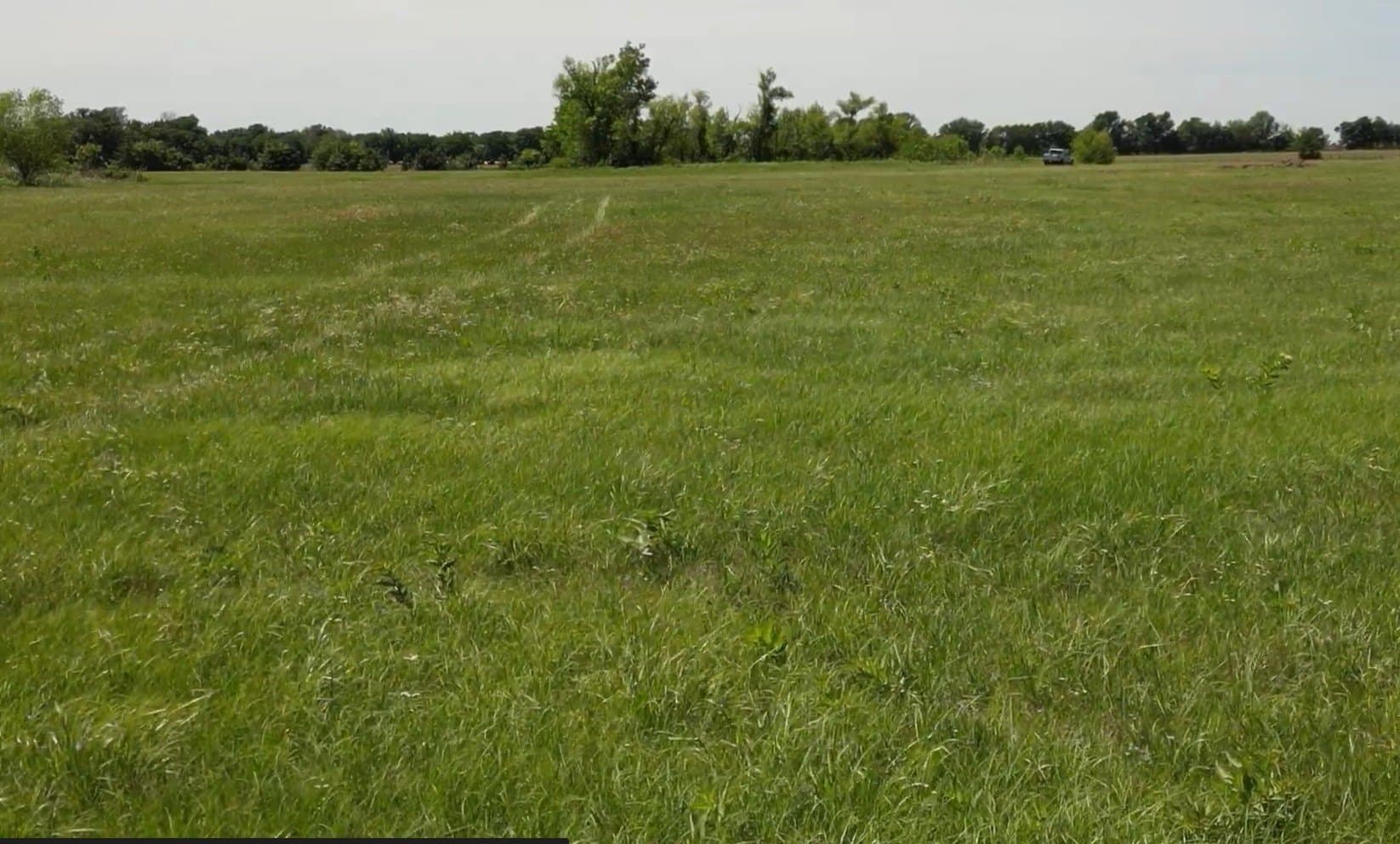 19.32 acres in Lamar County gallery image 2