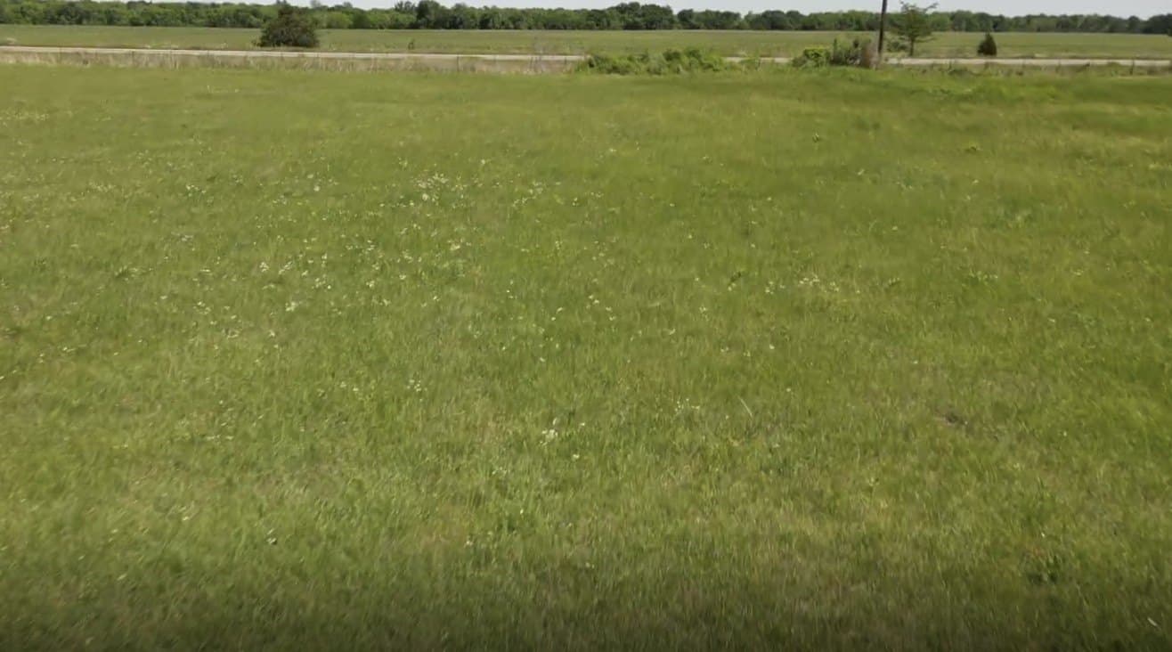 19.32 acres in Lamar County gallery image 3