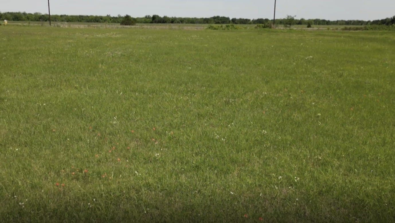 19.32 acres in Lamar County gallery image 4