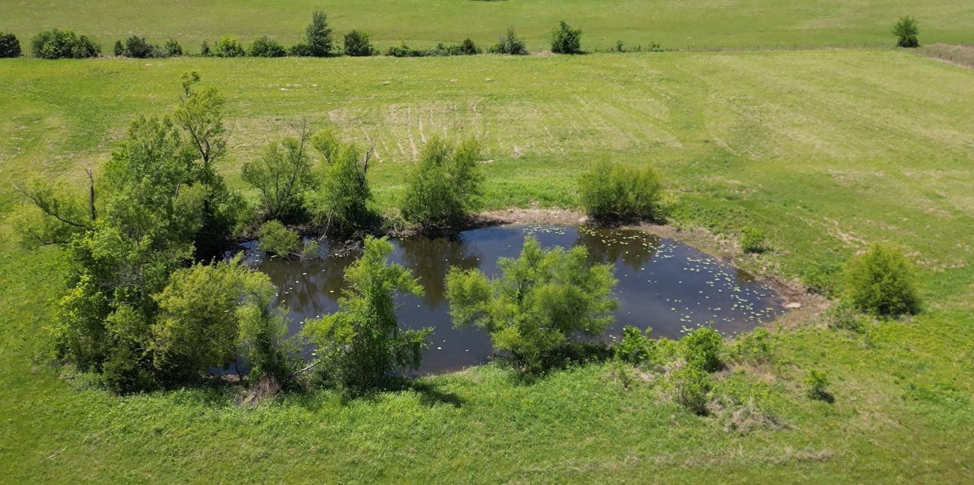19.32 acres in Lamar County