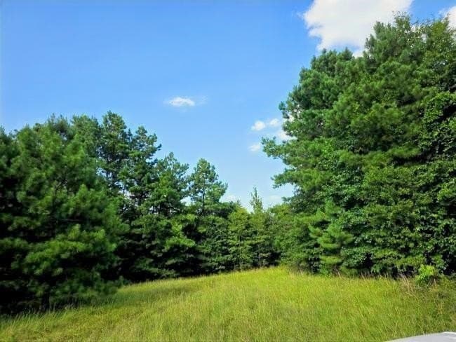 39 acres in Rusk County featured view