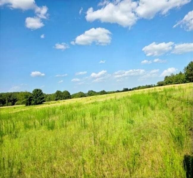 39 acres in Rusk County gallery image 3