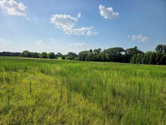 39 acres in Rusk County gallery image 4