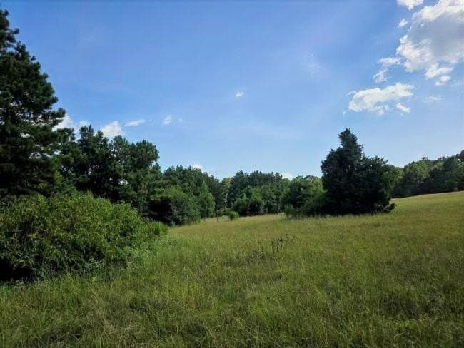 39 acres in Rusk County gallery image 2