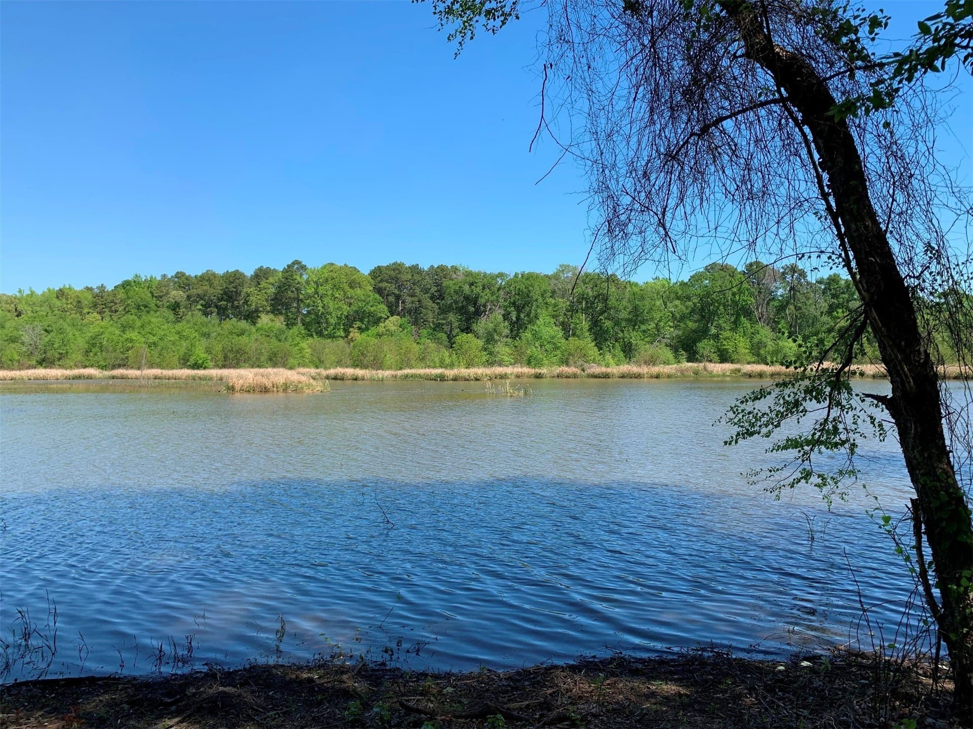 42.53 acres in Henderson County - photo 6