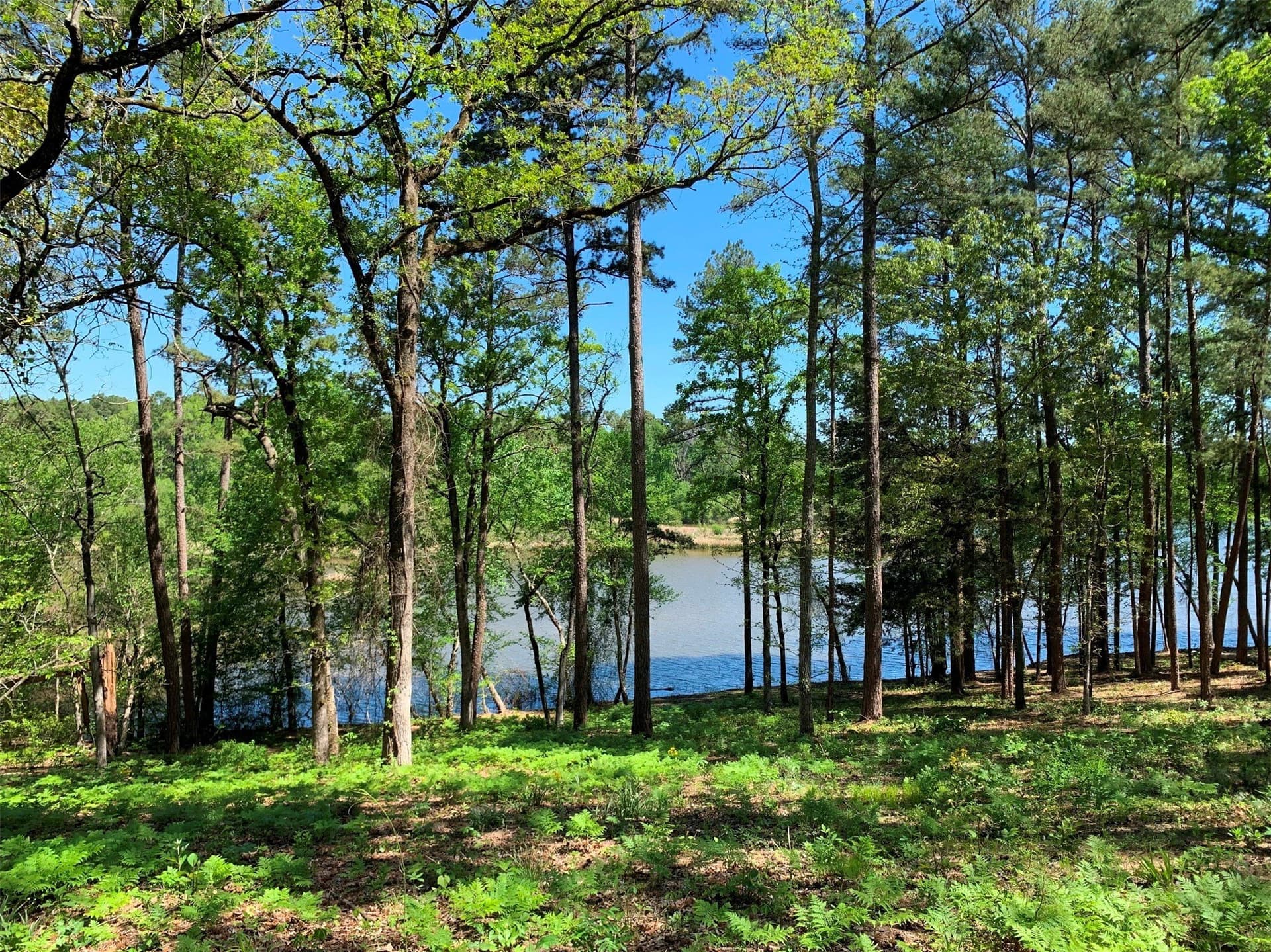 42.53 acres in Henderson County - photo 2