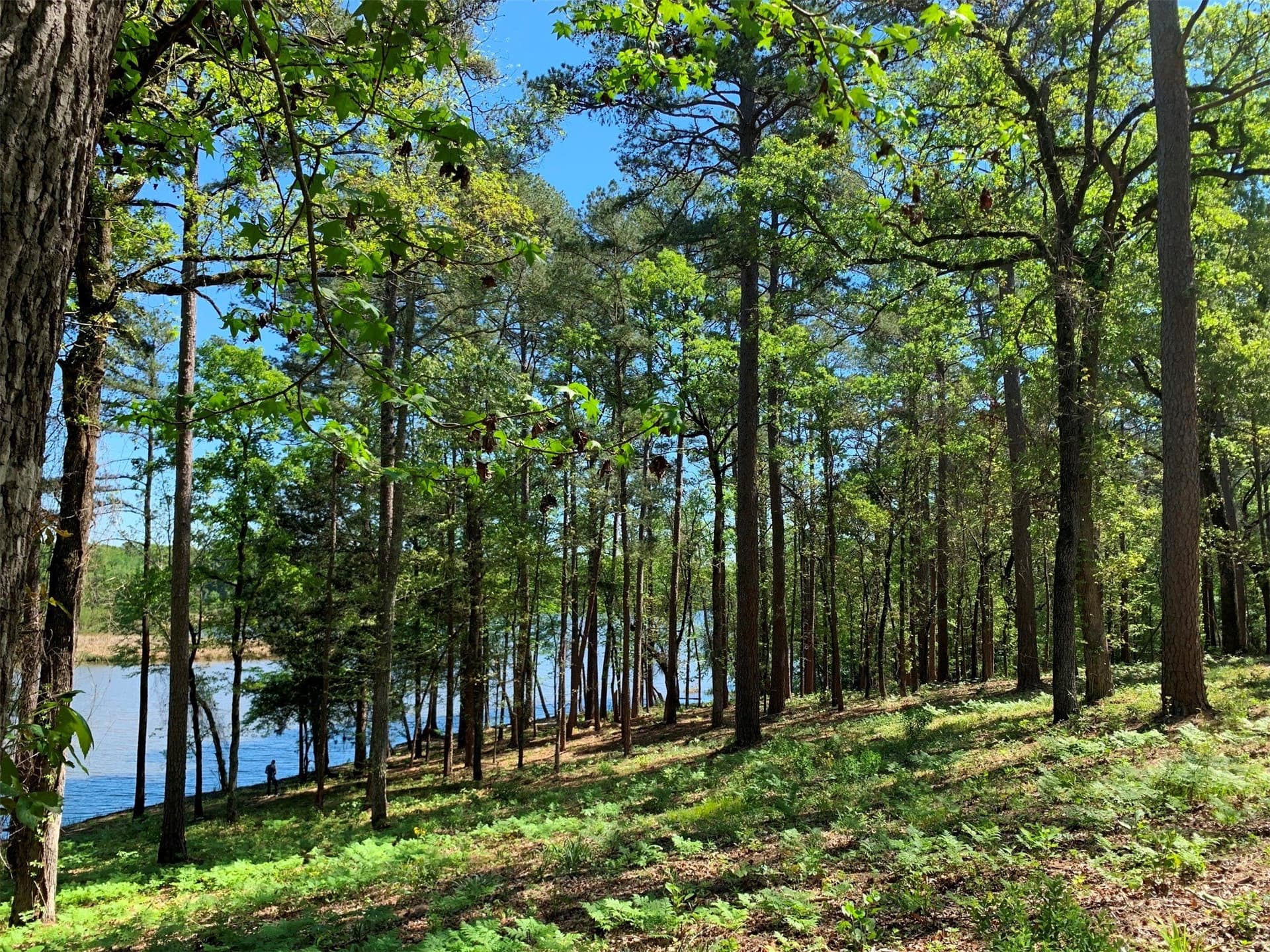 42.53 acres in Henderson County - photo 3