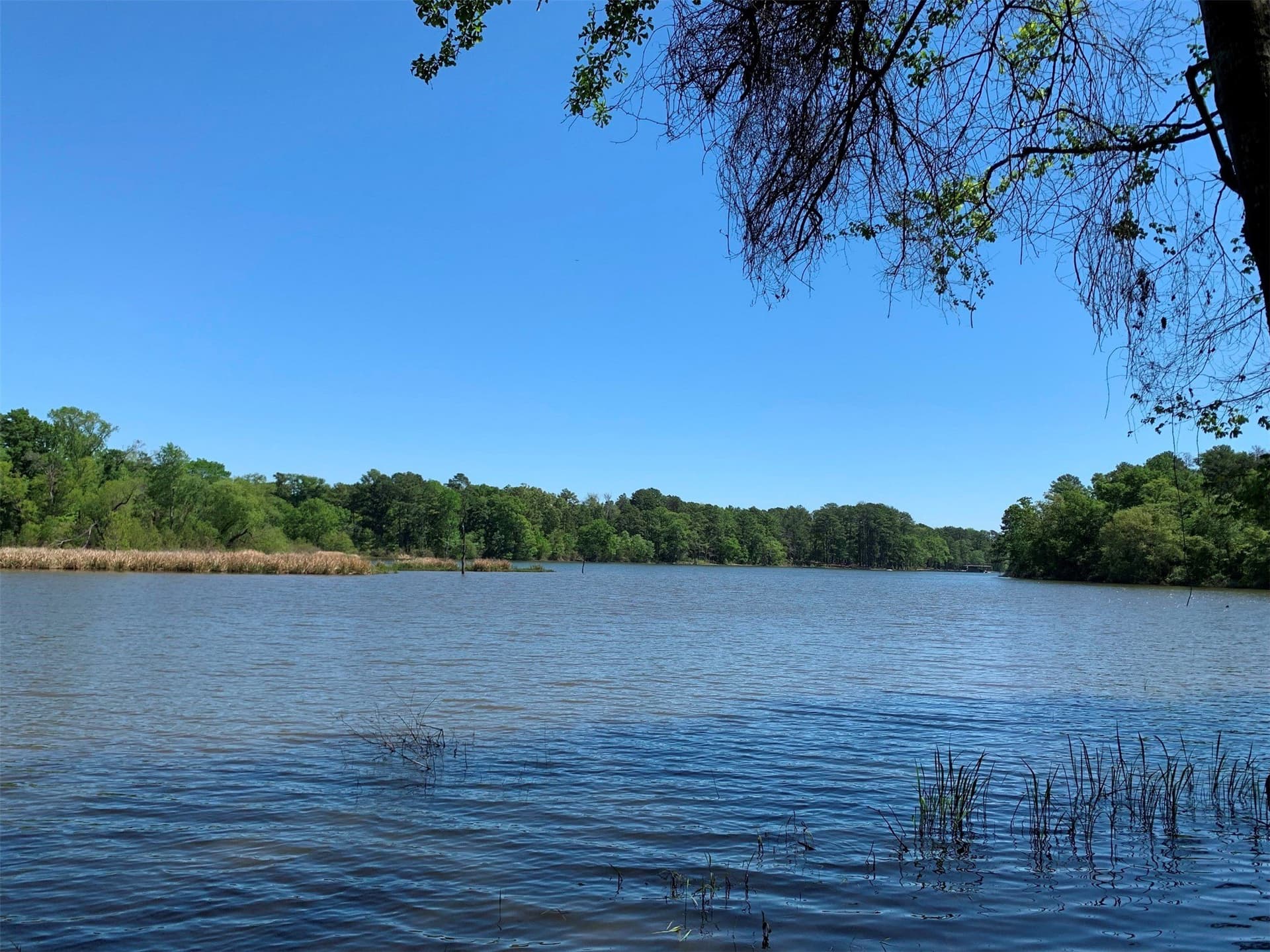42.53 acres in Henderson County