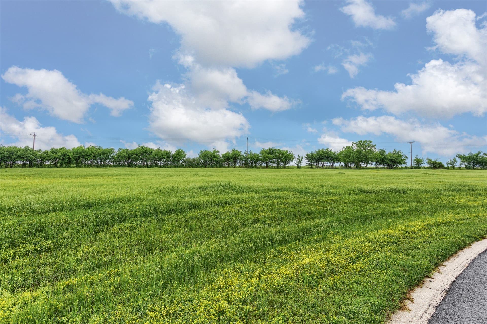 0.49 acres in Grayson County - photo 9