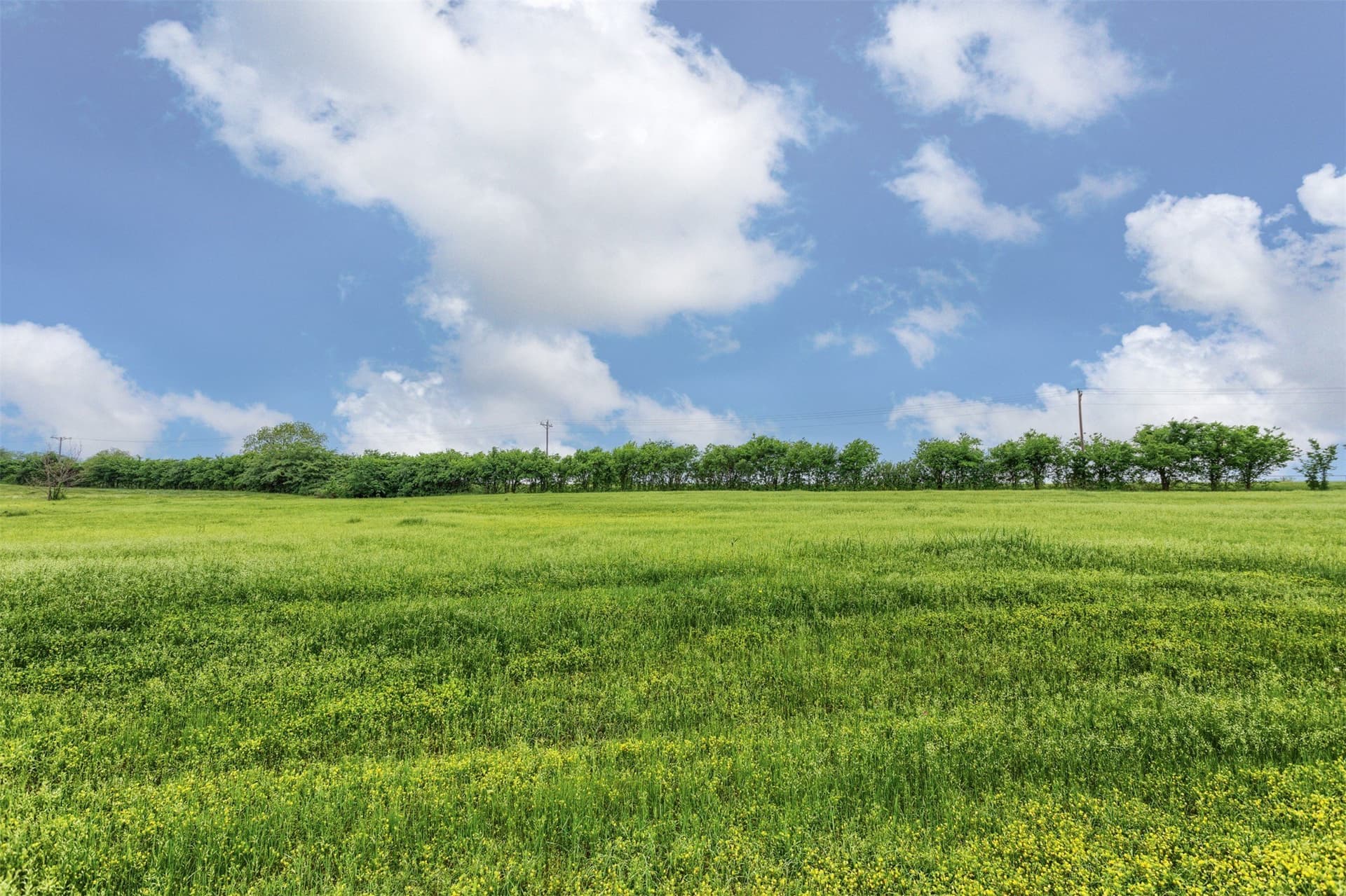 0.49 acres in Grayson County - photo 8