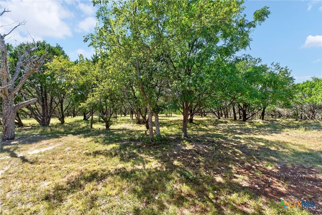 5 acres in Bell County - photo 20