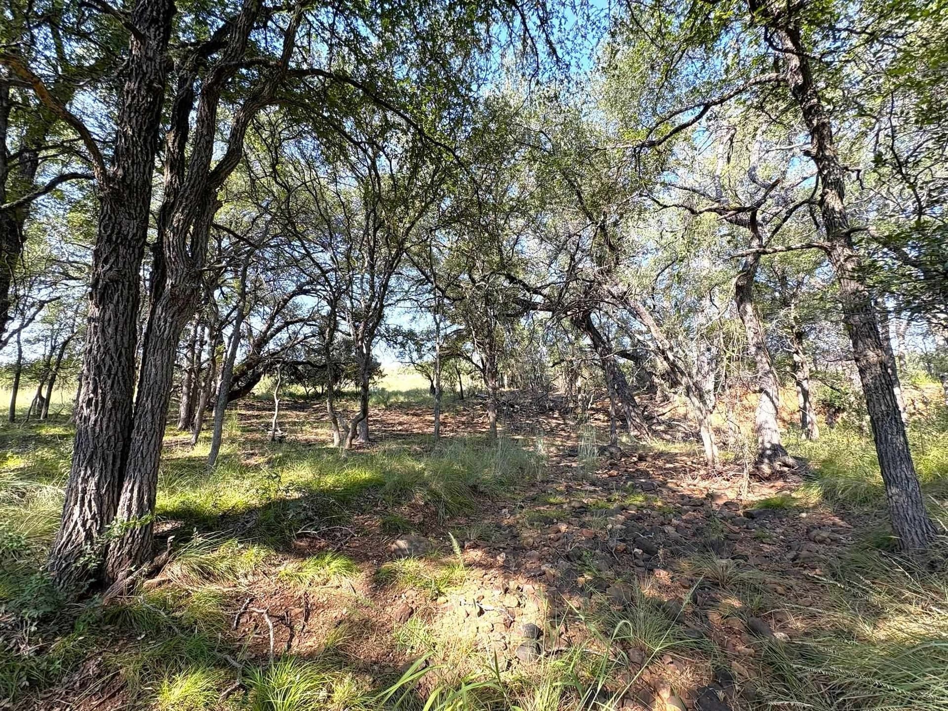 5.99 acres in Llano County - photo 16
