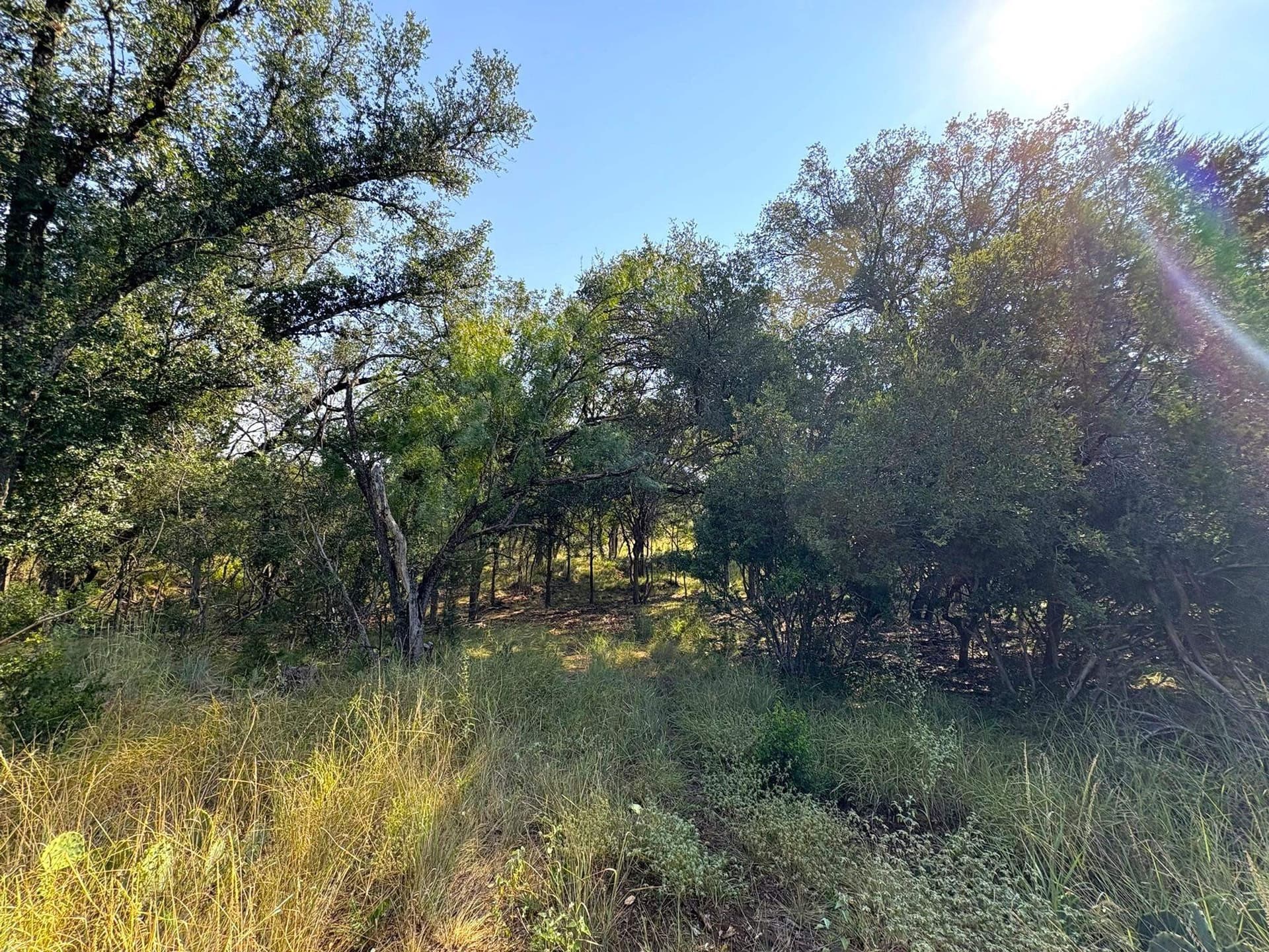 5.99 acres in Llano County - photo 9