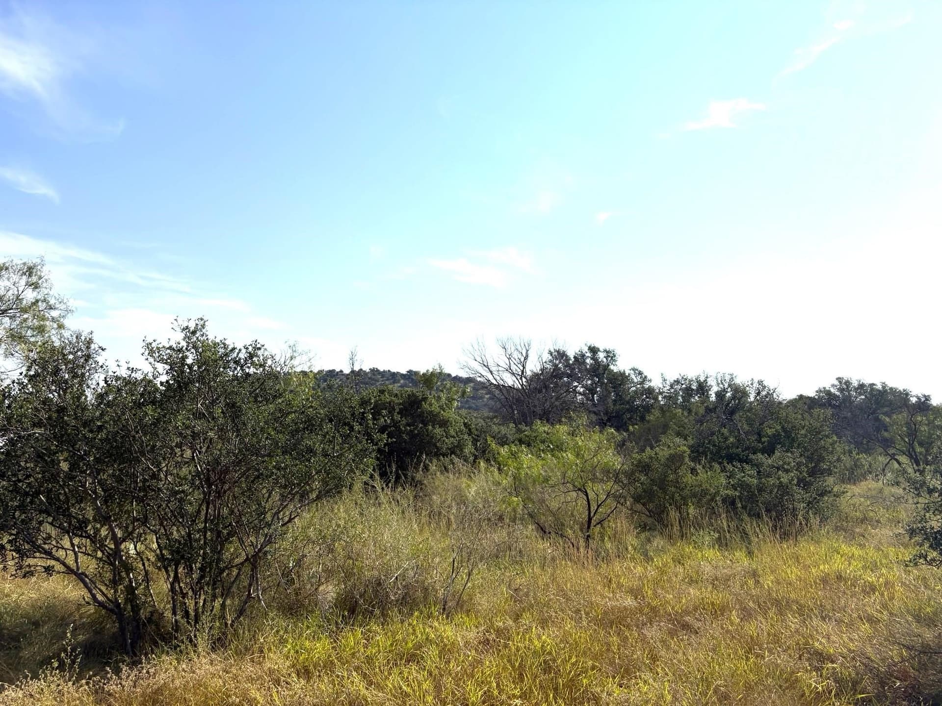 5.99 acres in Llano County - photo 8